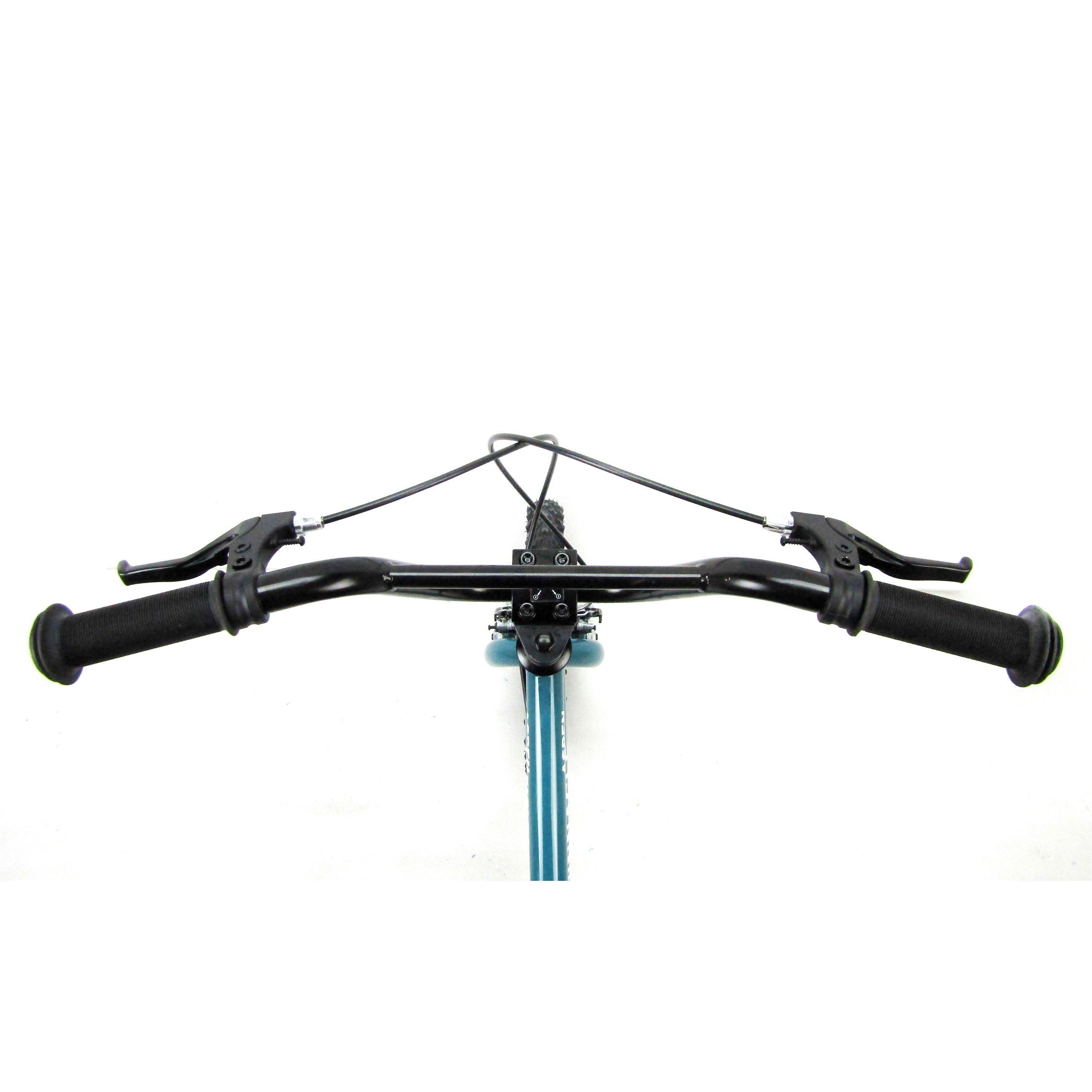 Teal - Pinnacle - Pinnacle Aspen 14 Wheel Childs Bike - 3