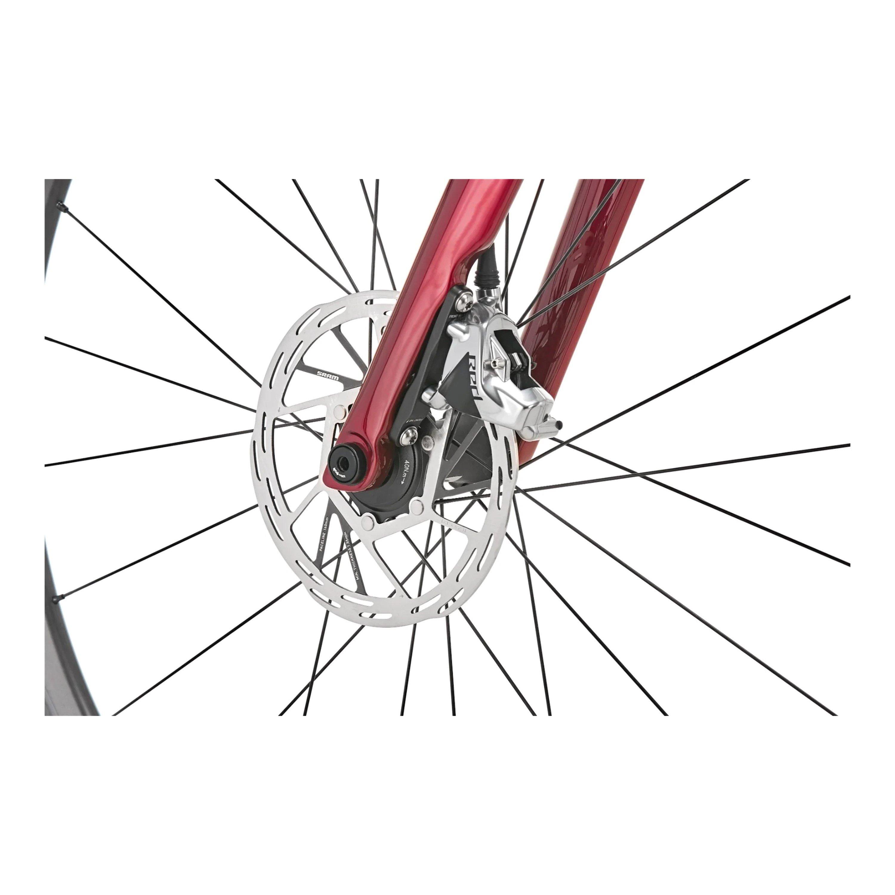 Red - Vitus - Vitesse EVO Carbon Hydraulic Disc 2024 Road Bike - 14