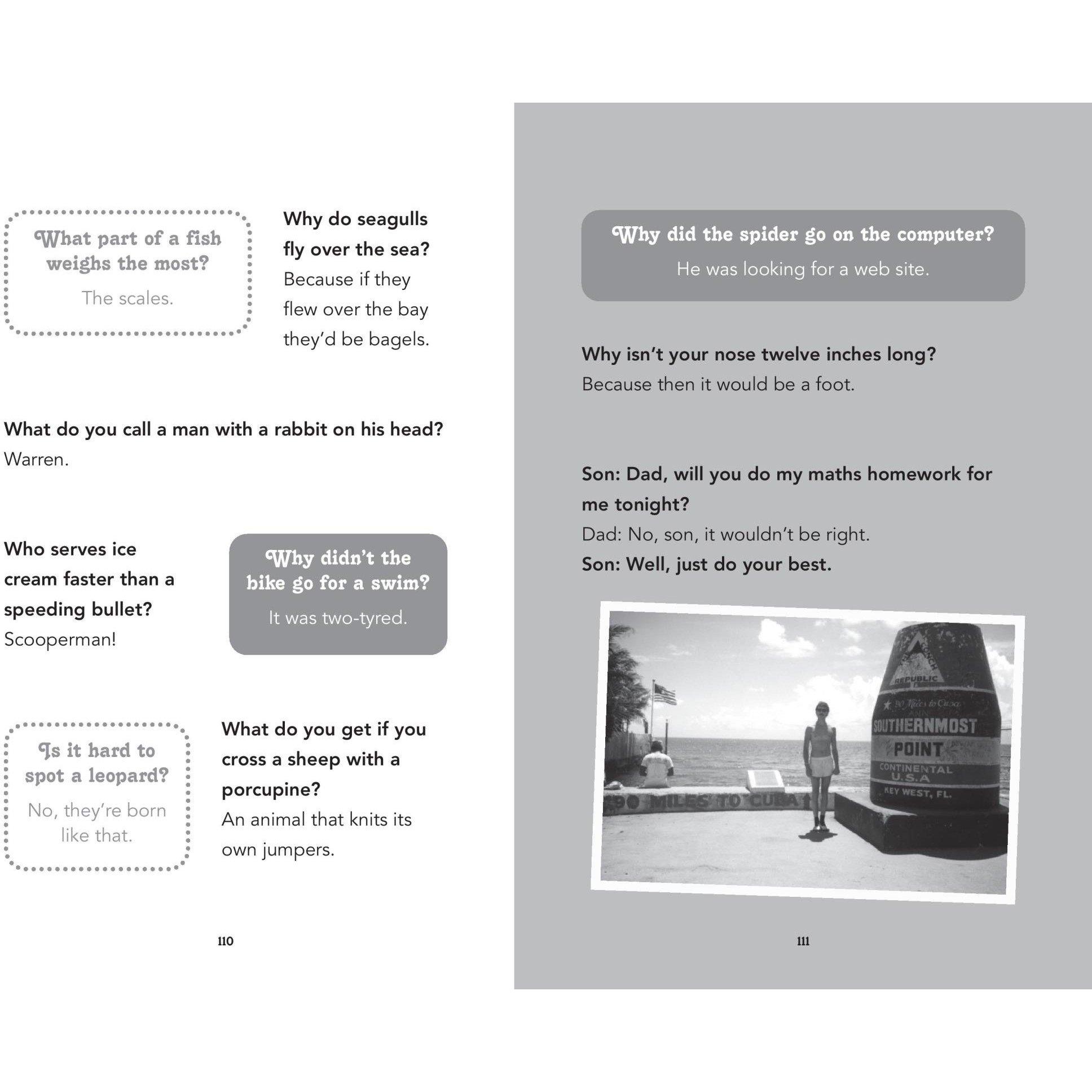 Blue - Boxer Gifts - Very Embarrassing Book Dad Jokes - Dad Gift - 6