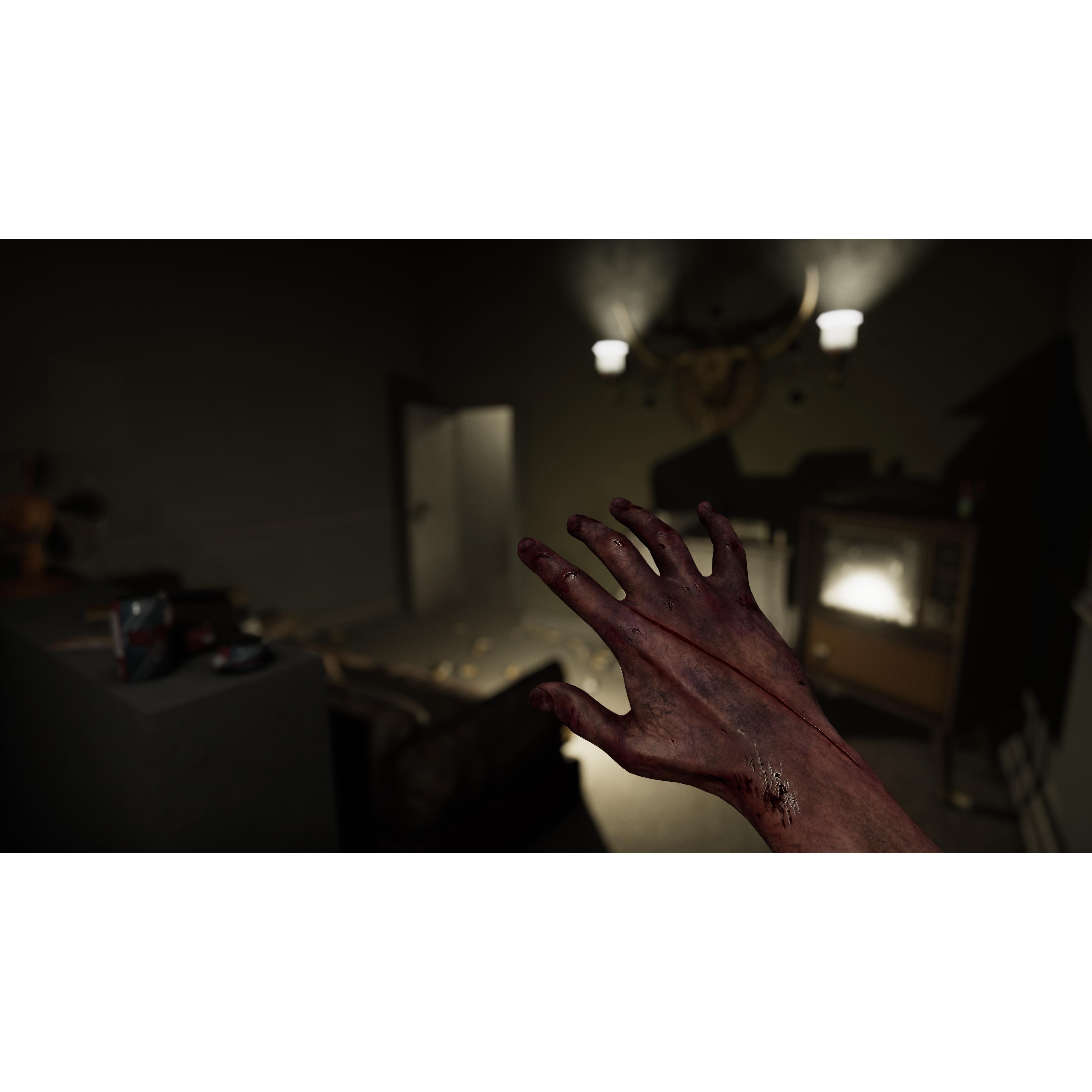 None - Plaion - MADiSON VR Cursed Edition - 5