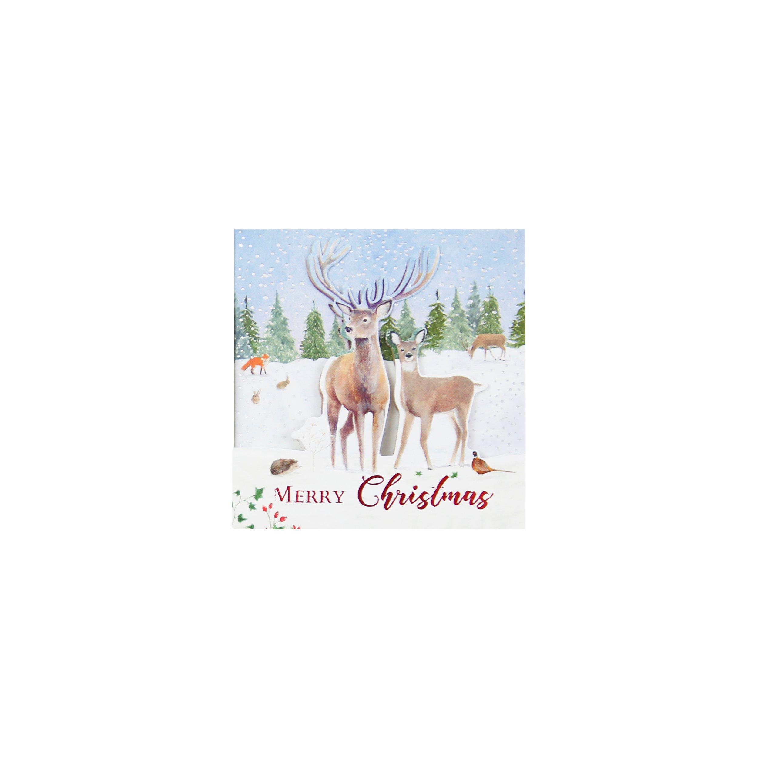 Red - North Pole - Adults Gift Wrapping Paper and Tags - 9
