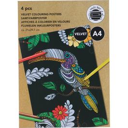 Edco Colouring Pster 00