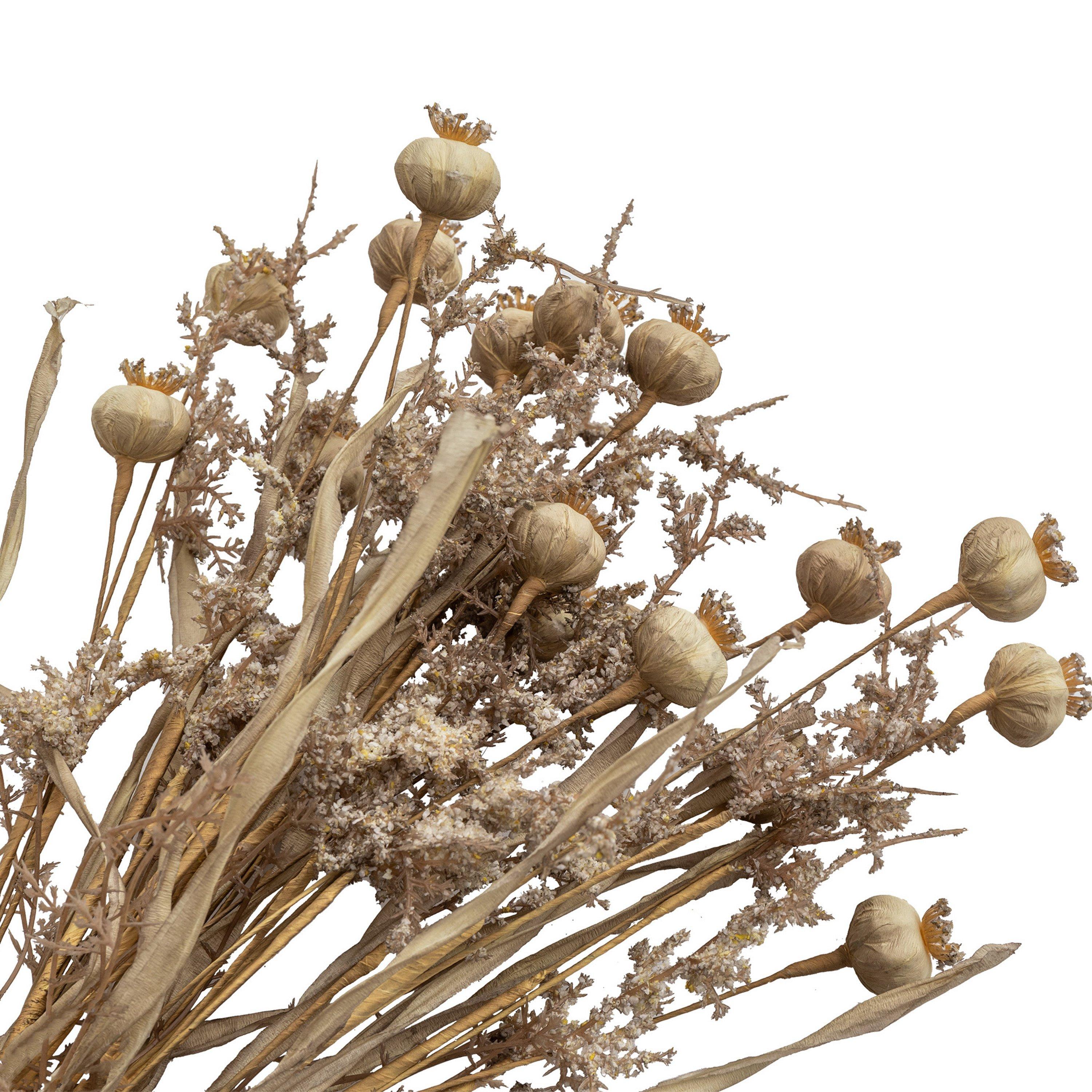 Brown - Gallery - Dry Look Poppy Bundle Artificial Flowers - 3