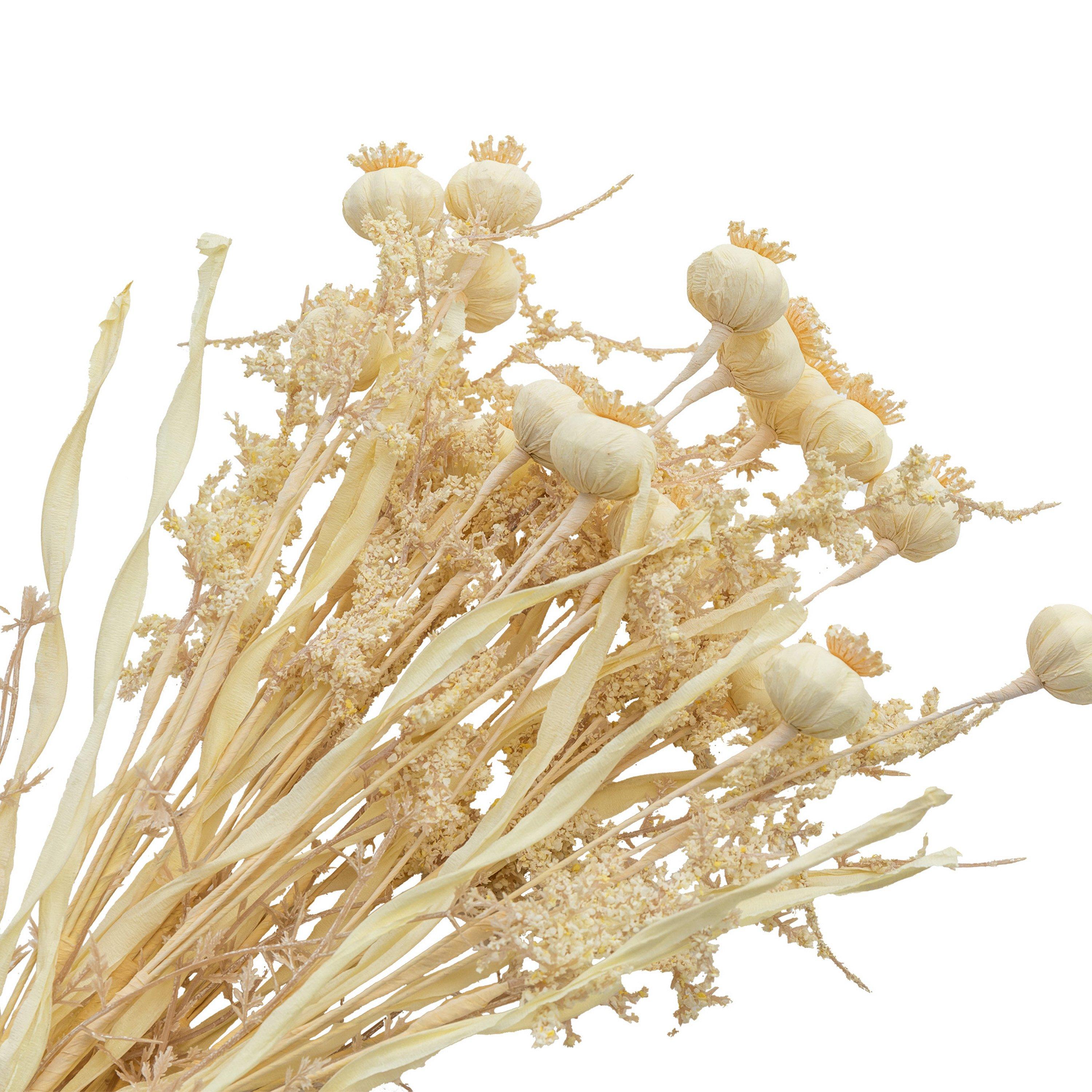 Cream - Gallery - Look Poppy Bundle Artificial Flowers - 3