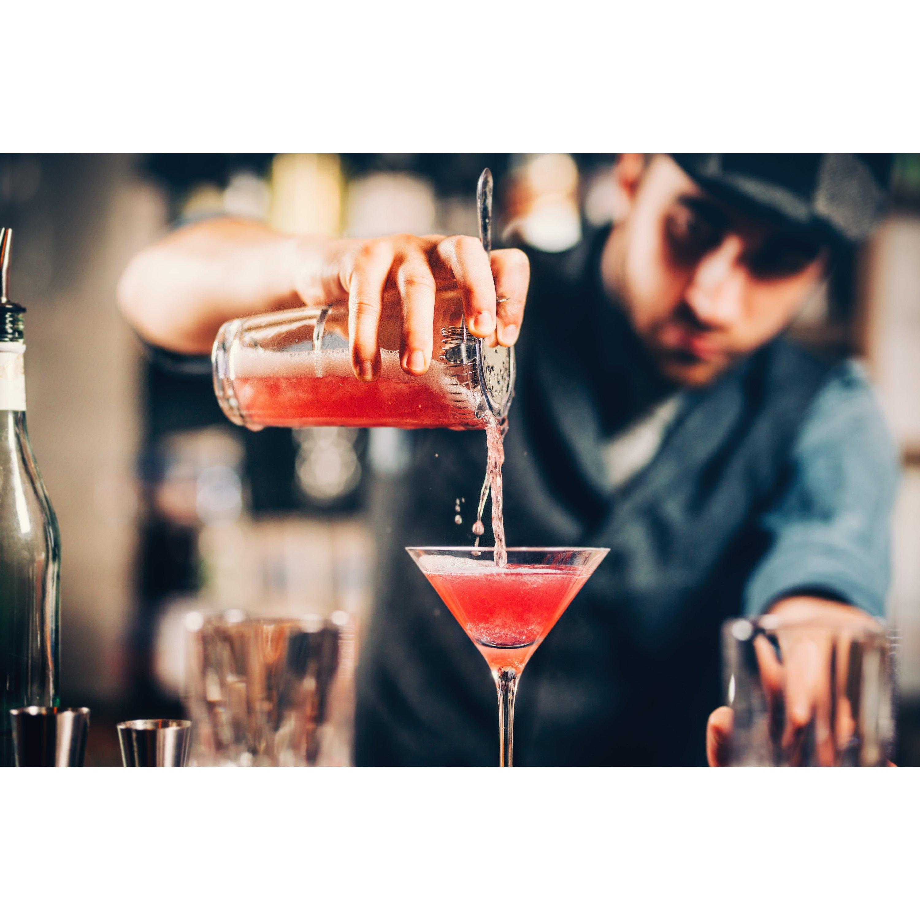 Silver - Alpina - Cocktail Set - 4