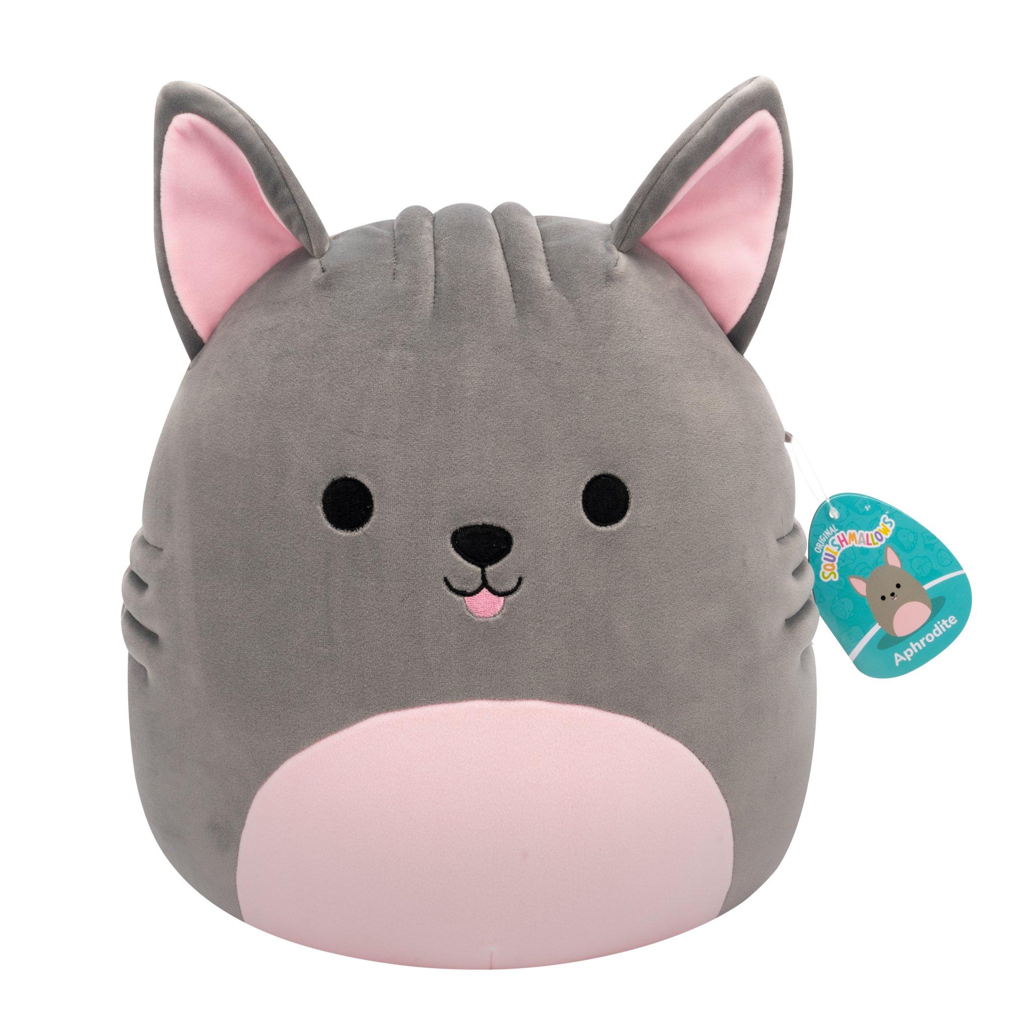 F24 S21 - Squishmallows - Squishmallows 12-Inch Plush Assortment - 5