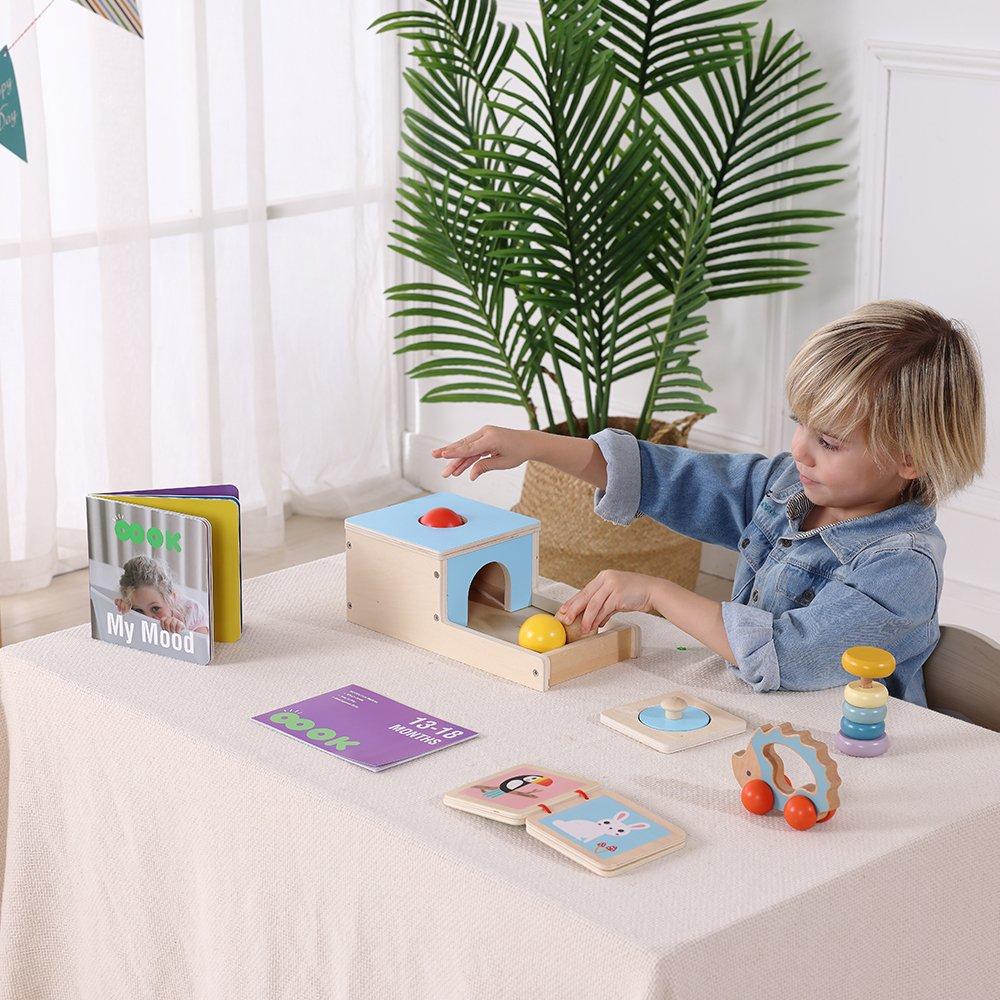 6m+ - Tooky Toy - TT Educational Toy Set babies - 2