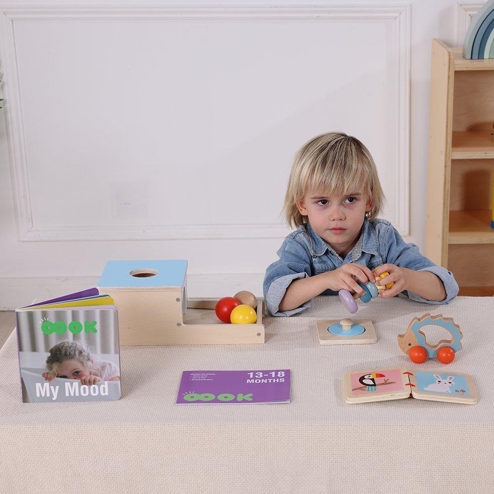 6m+ - Tooky Toy - TT Educational Toy Set babies - 3