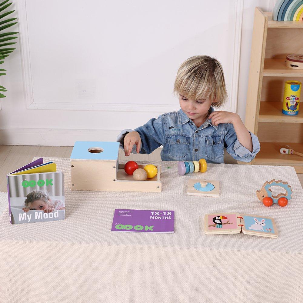 6m+ - Tooky Toy - TT Educational Toy Set babies - 4