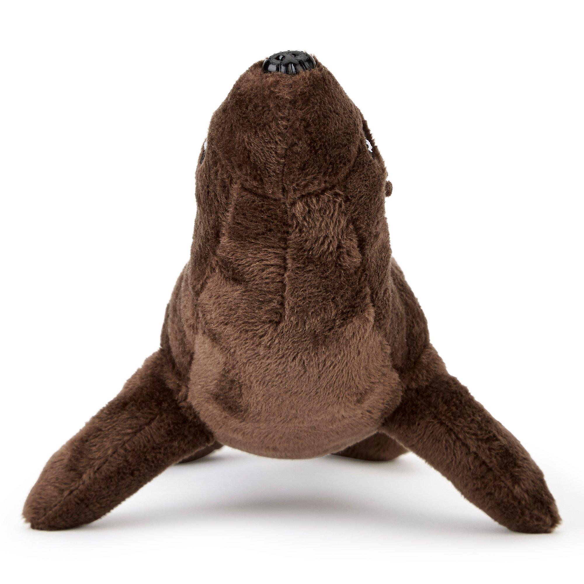 Brown - Zappi Co - Zappi Co California Sea Lion Soft Toy 17 cm - 2