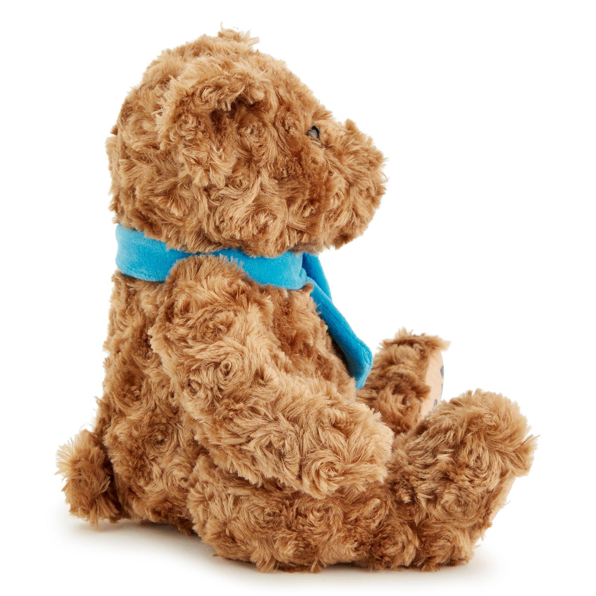 Brown - Zappi Co - Zappi Co Congratulations Classic Bear Soft Toy 25 cm - 3