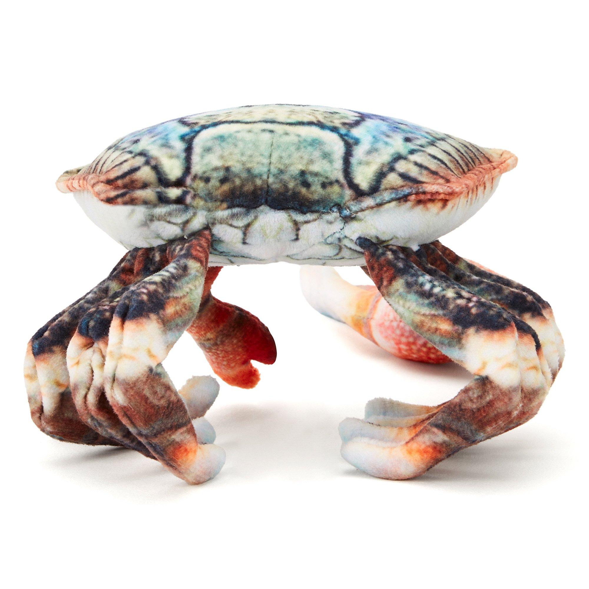 Multi - Zappi Co - Zappi Co Fiddler Crab Soft Toy 20cm - 4