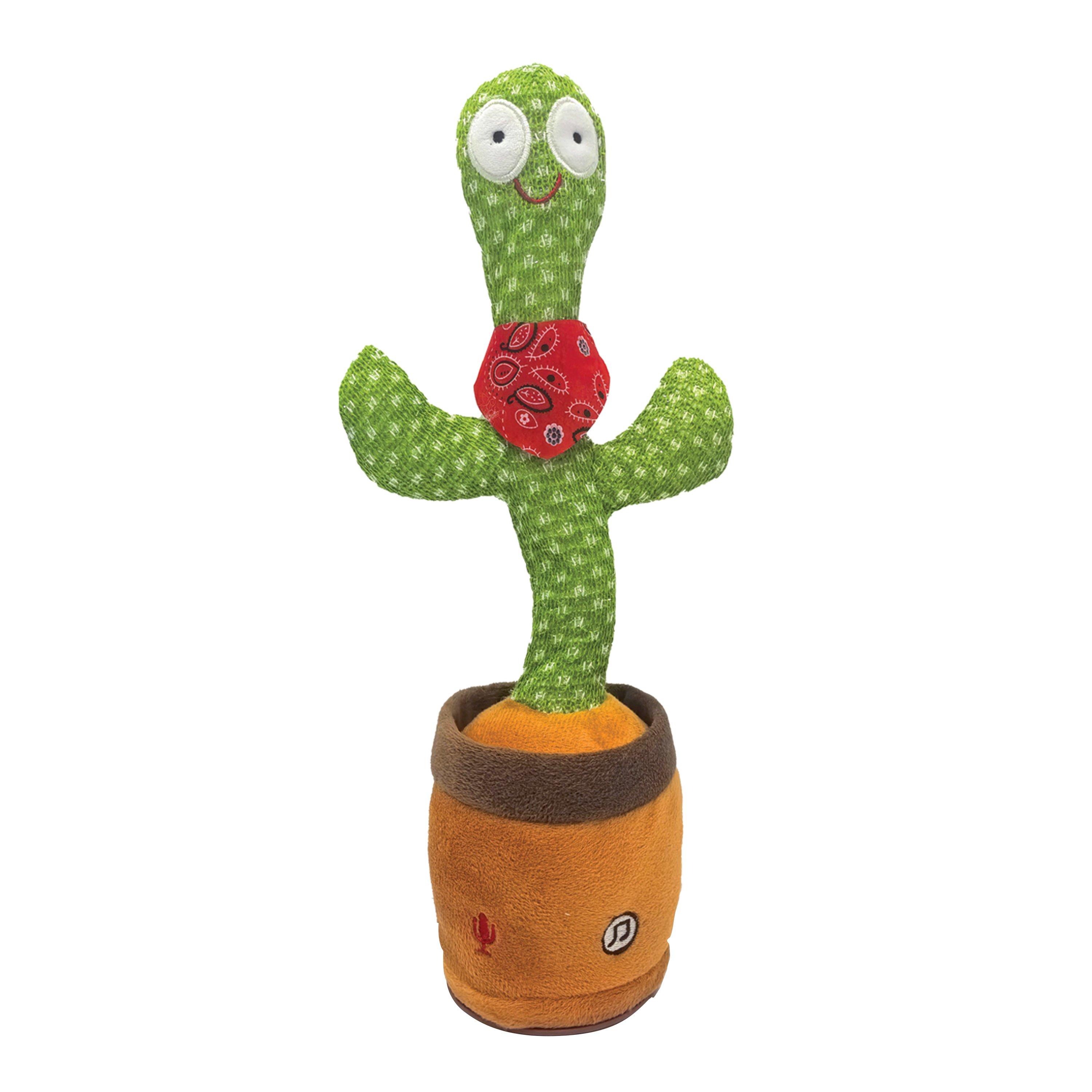 Meerkleurig - Winning - Winng Dancing Cactus 64 - 2