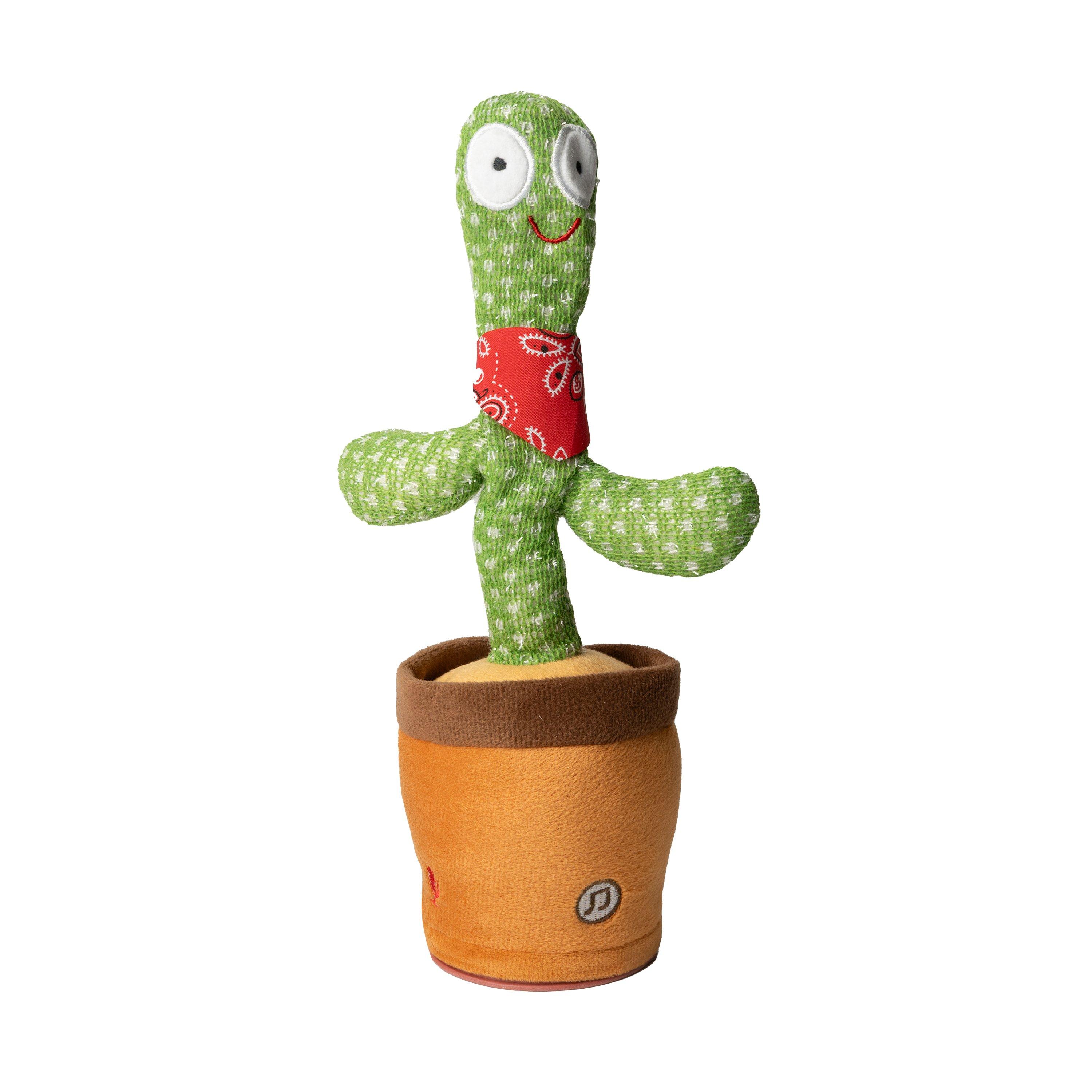 Meerkleurig - Winning - Winng Dancing Cactus 64 - 3