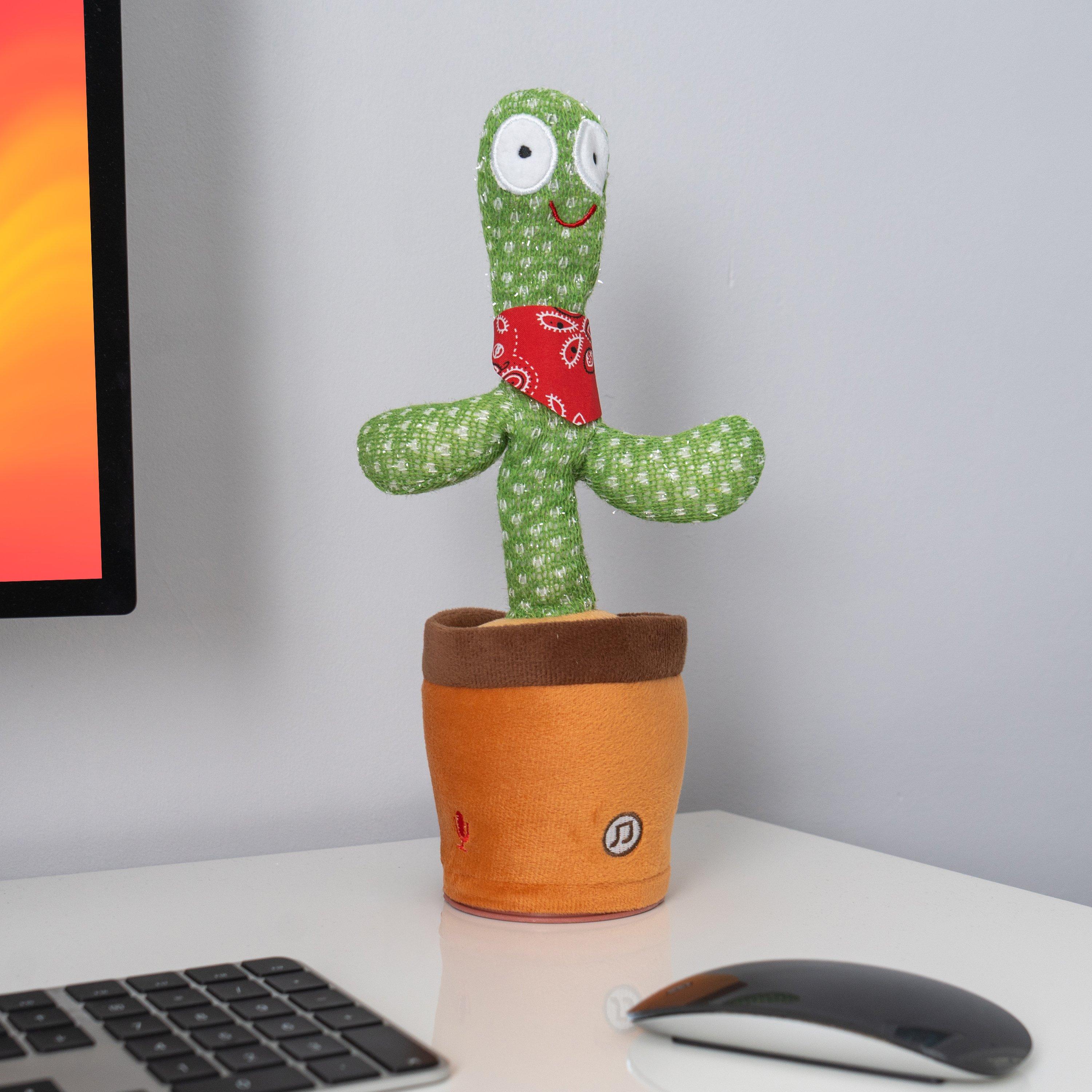 Meerkleurig - Winning - Winng Dancing Cactus 64 - 4