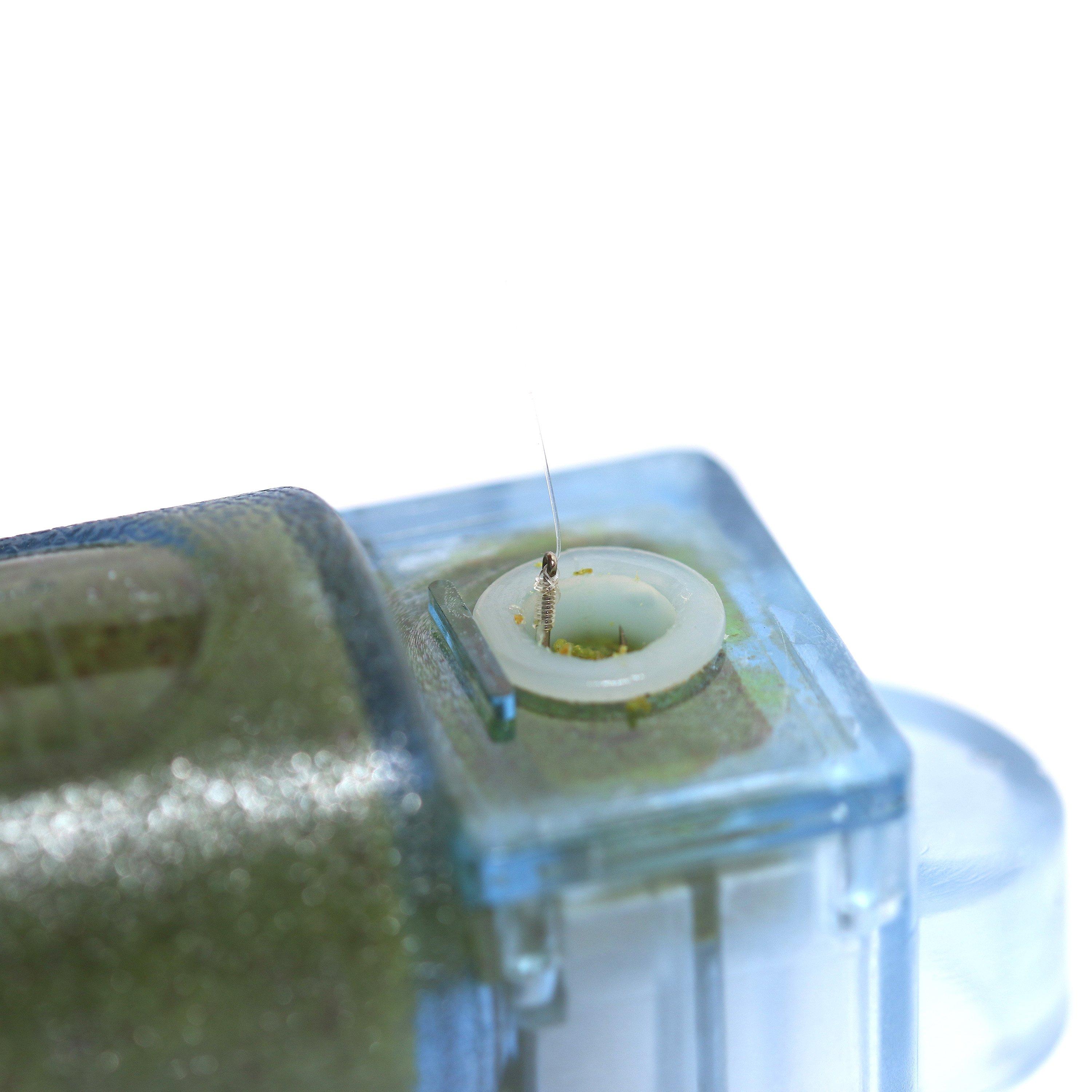 Blue - Avanti - Bait Applicator - 3