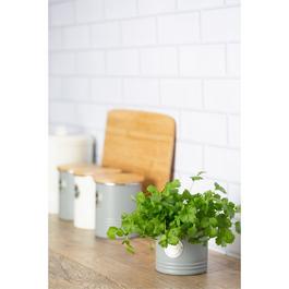 Typhoon Herb Planter