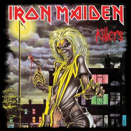 Iron Maiden Adults 40x40 Canvas Wall Art