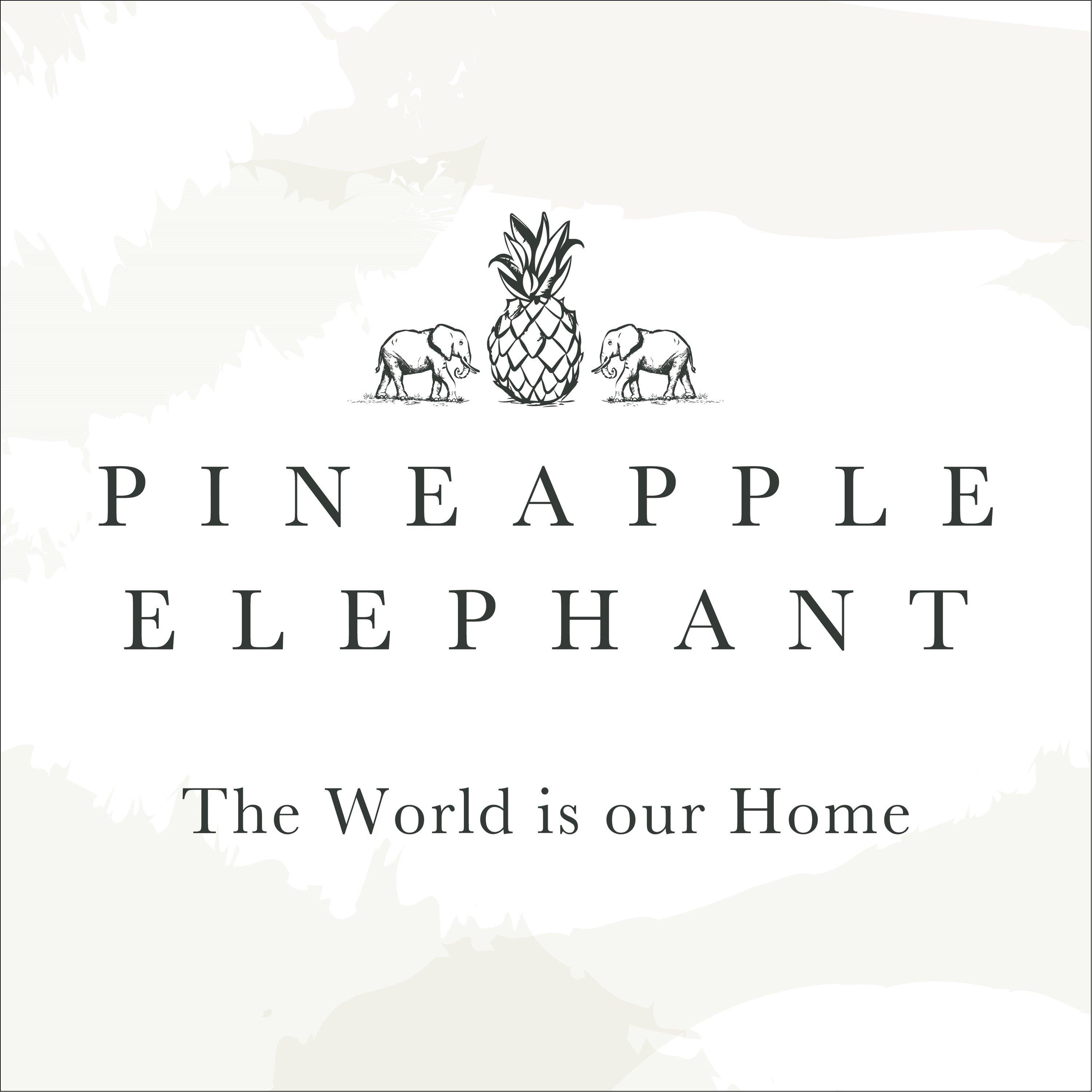 Terracotta - Pineapple Elephant - Stripes Cotton Cushion Terracotta - 6