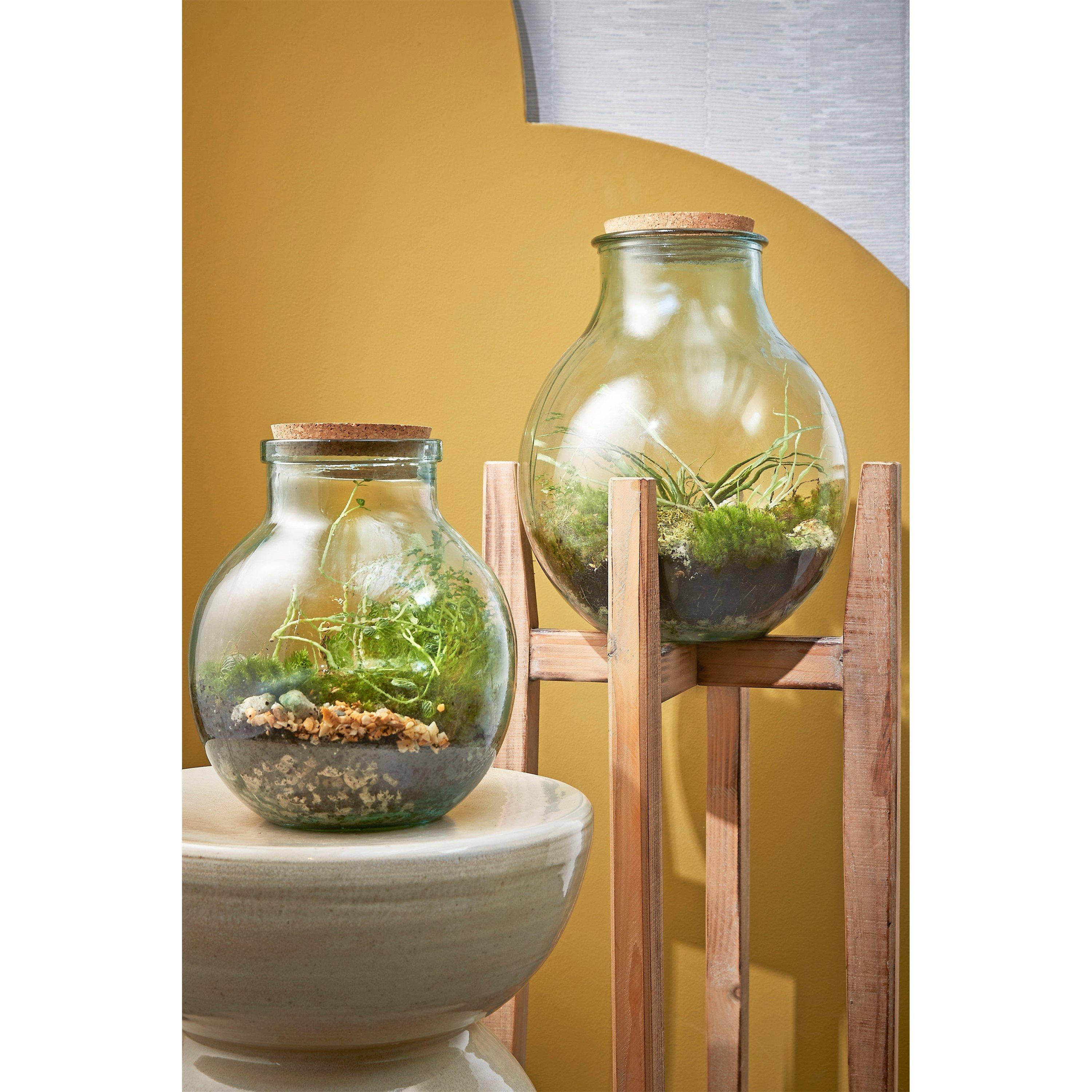 None - Mica - Olly Vase - 6