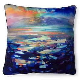 The Art Group Adults Scott Naismith 99 Cushion