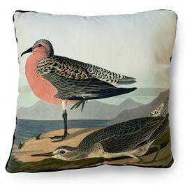 The Art Group Adults John James Cushion