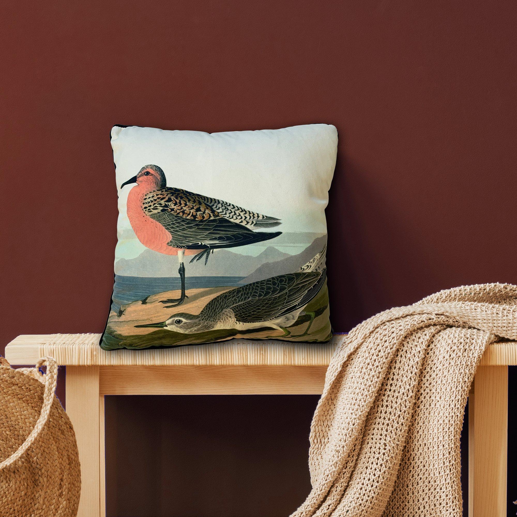 RB Sandpiper - The Art Group - Adults John James Cushion - 2