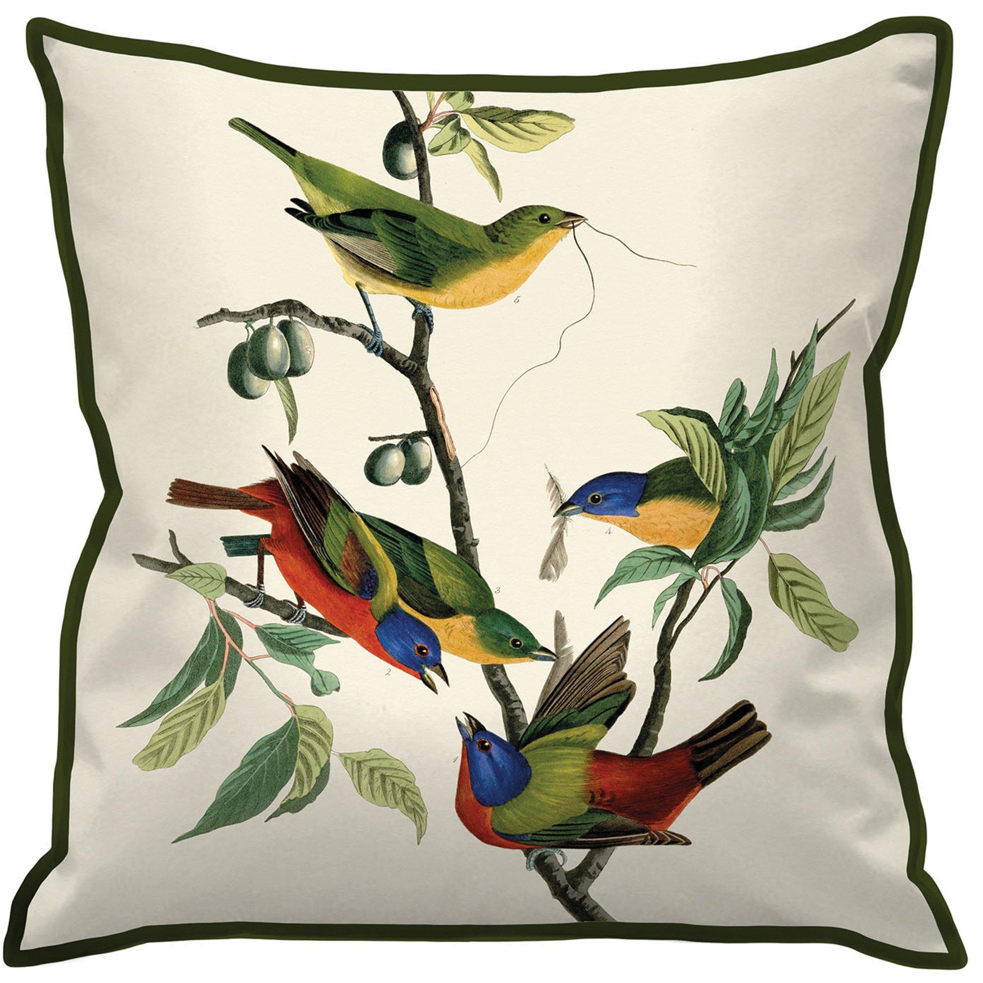 Painted Finch - The Art Group - John James Audubon Cushion - 2