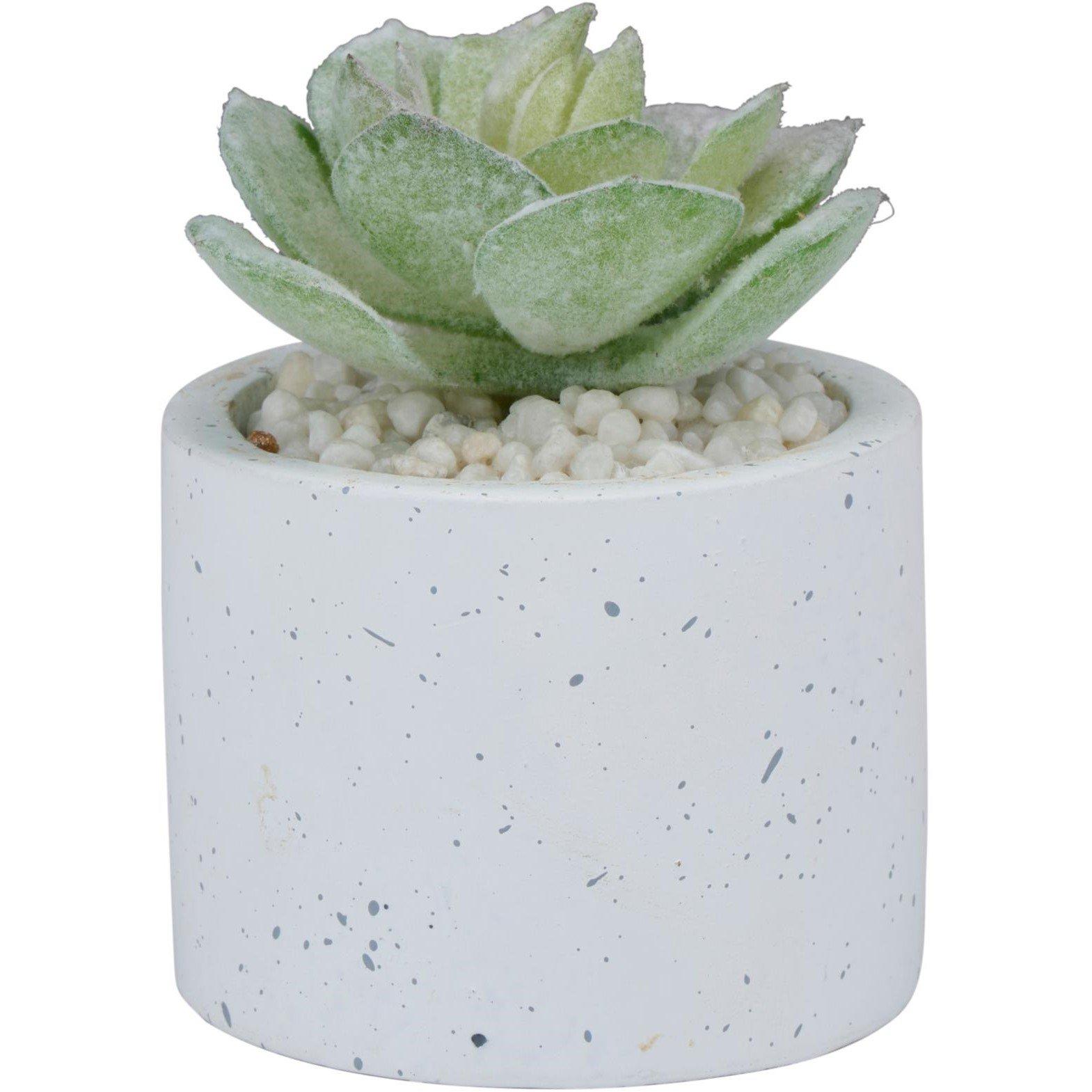 None - Arti Casa - Single Artifical Plant - 2