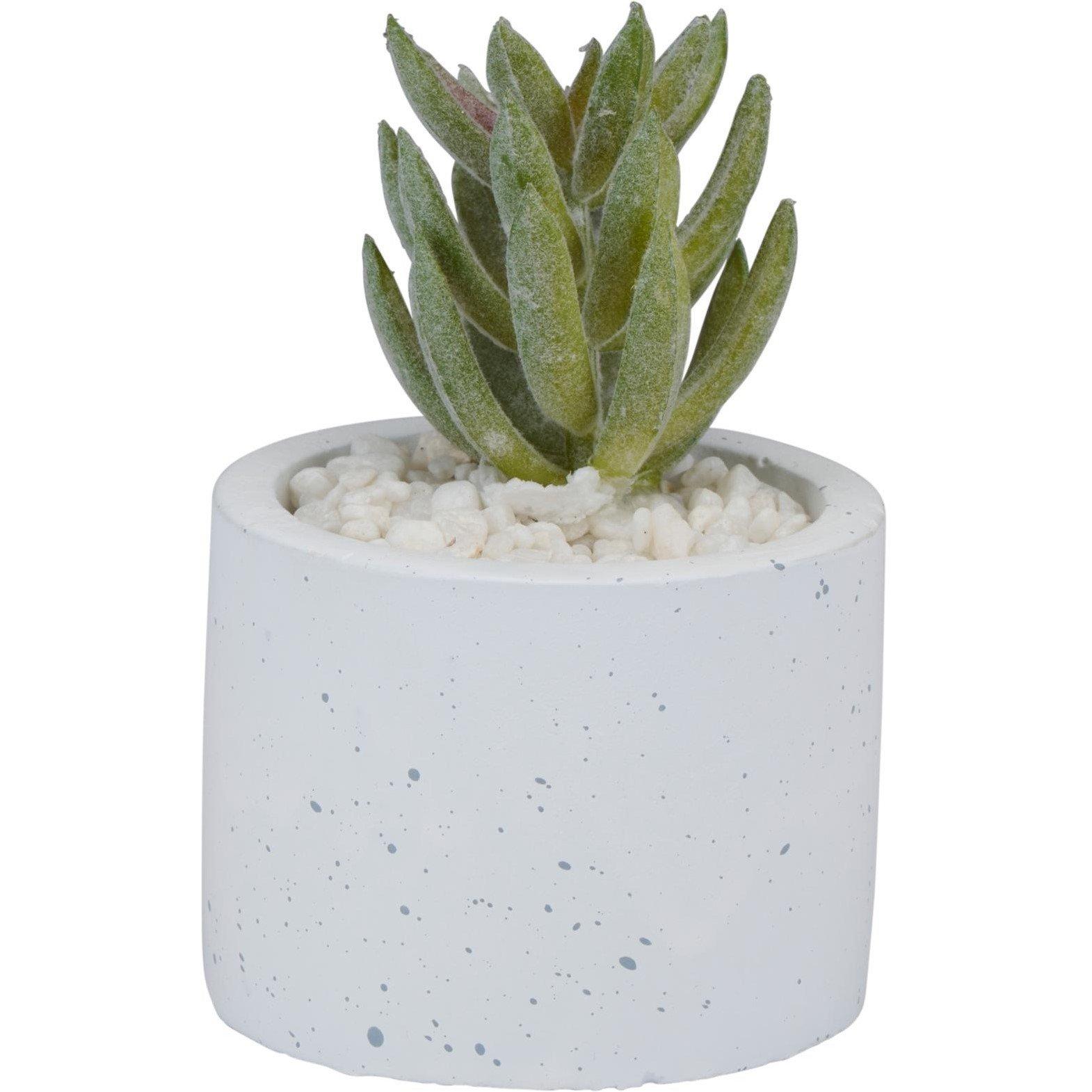 None - Arti Casa - Single Artifical Plant - 4