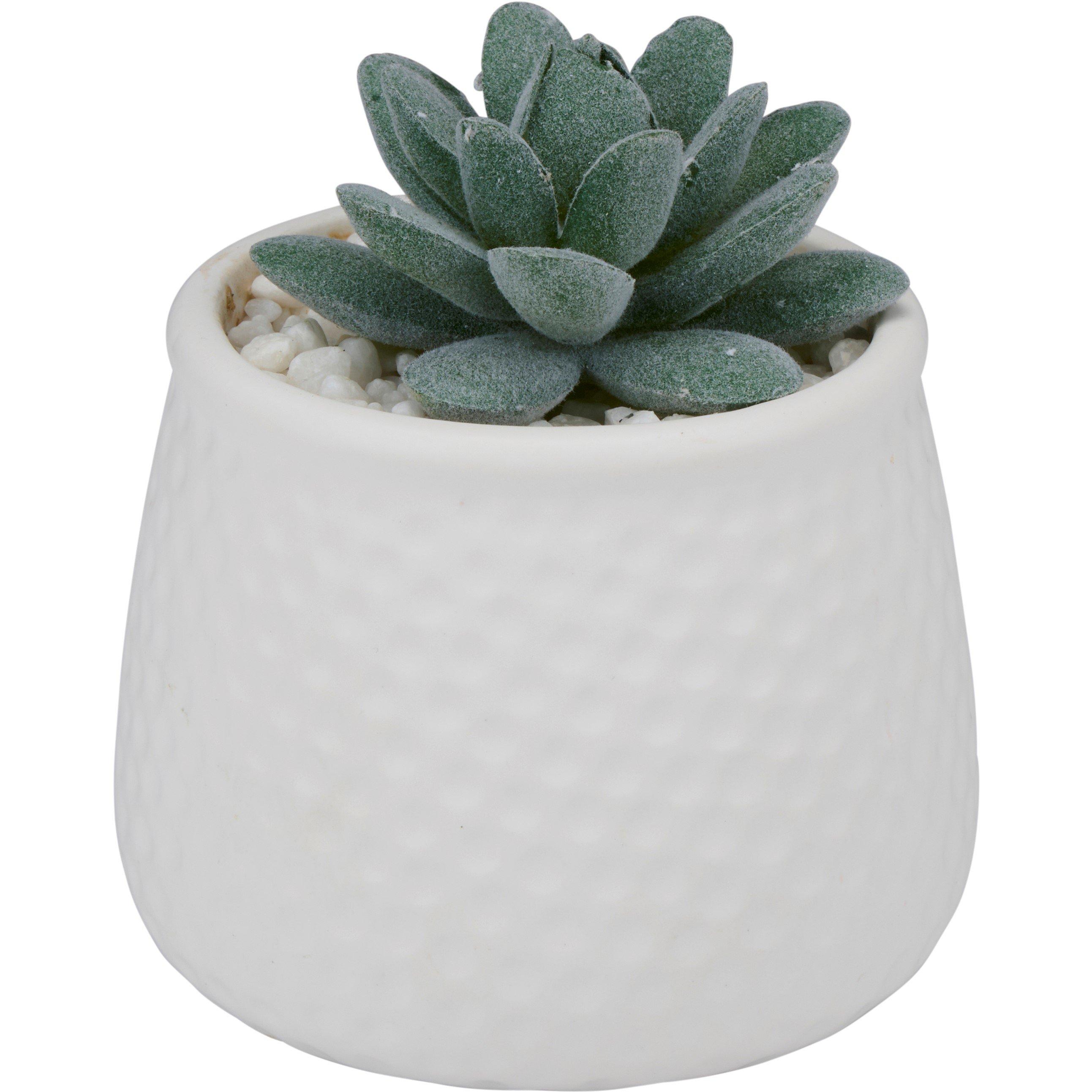 White - Arti Casa - Artificial Plant in Pot 8.5x12cm - 3