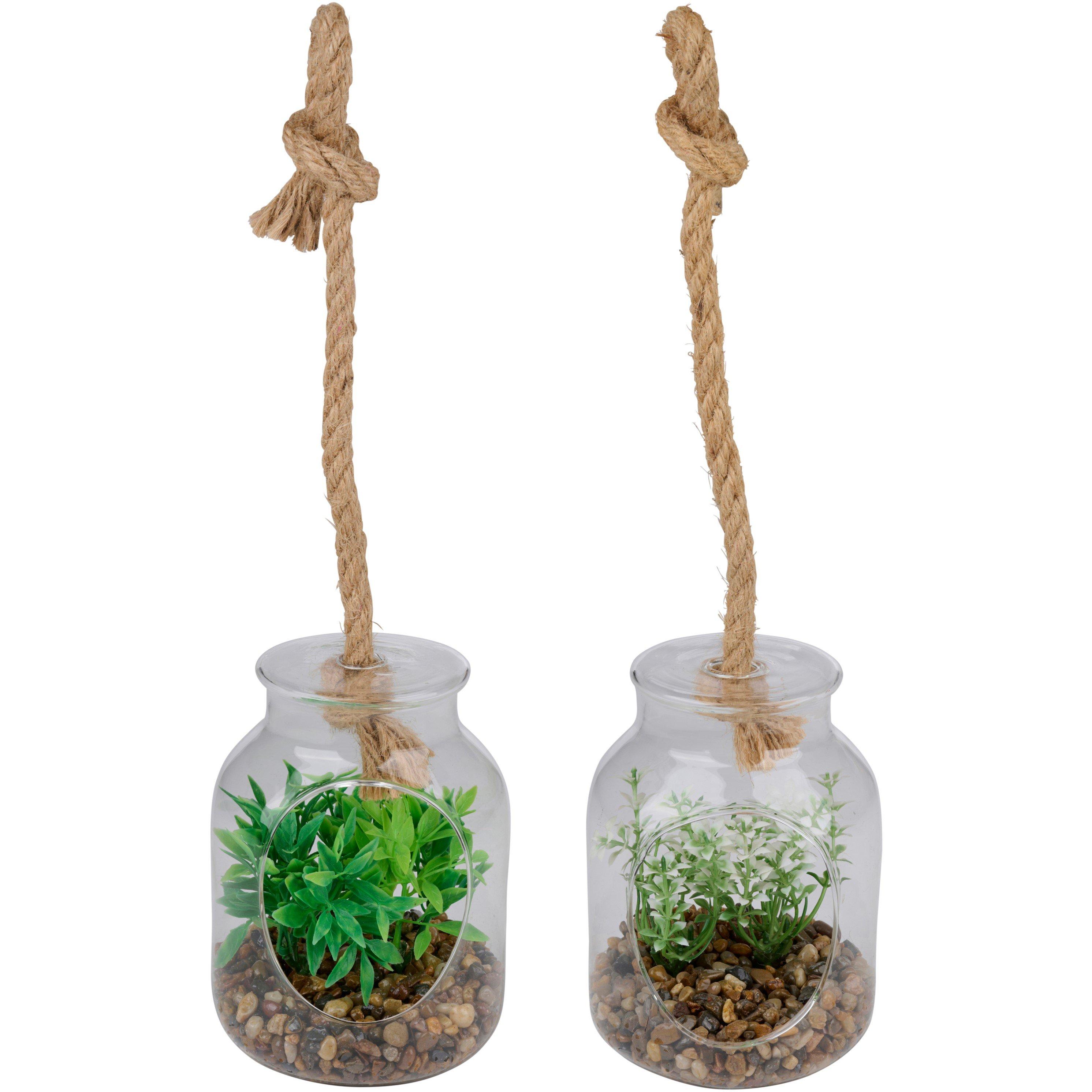 None - Arti Casa - Plants and Seeds - 1