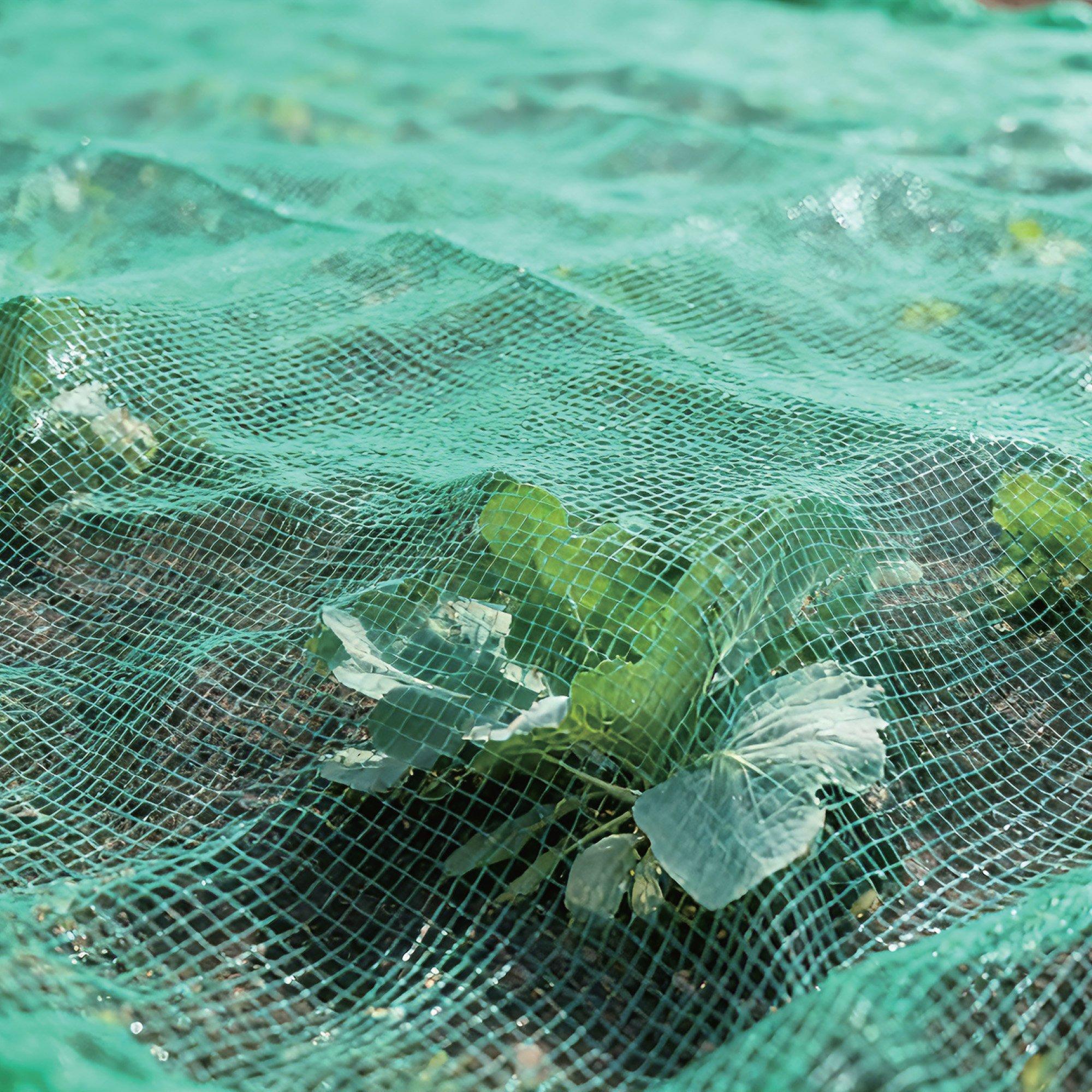 Green - Dekton - Dekton Garden Netting - 6