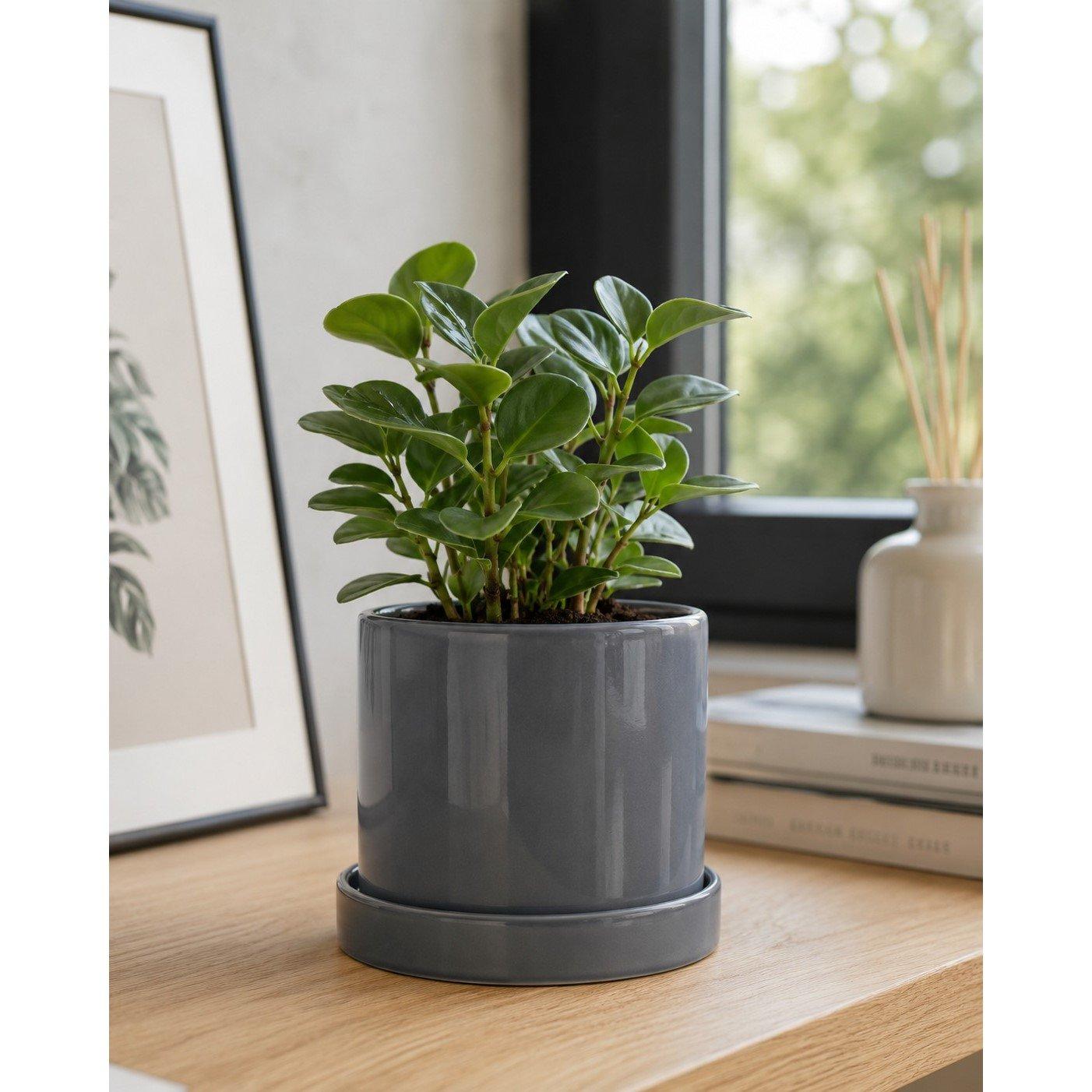 13x13.5cm - Arti Casa - Plant Pot with Tray O13x13.5cm - 4