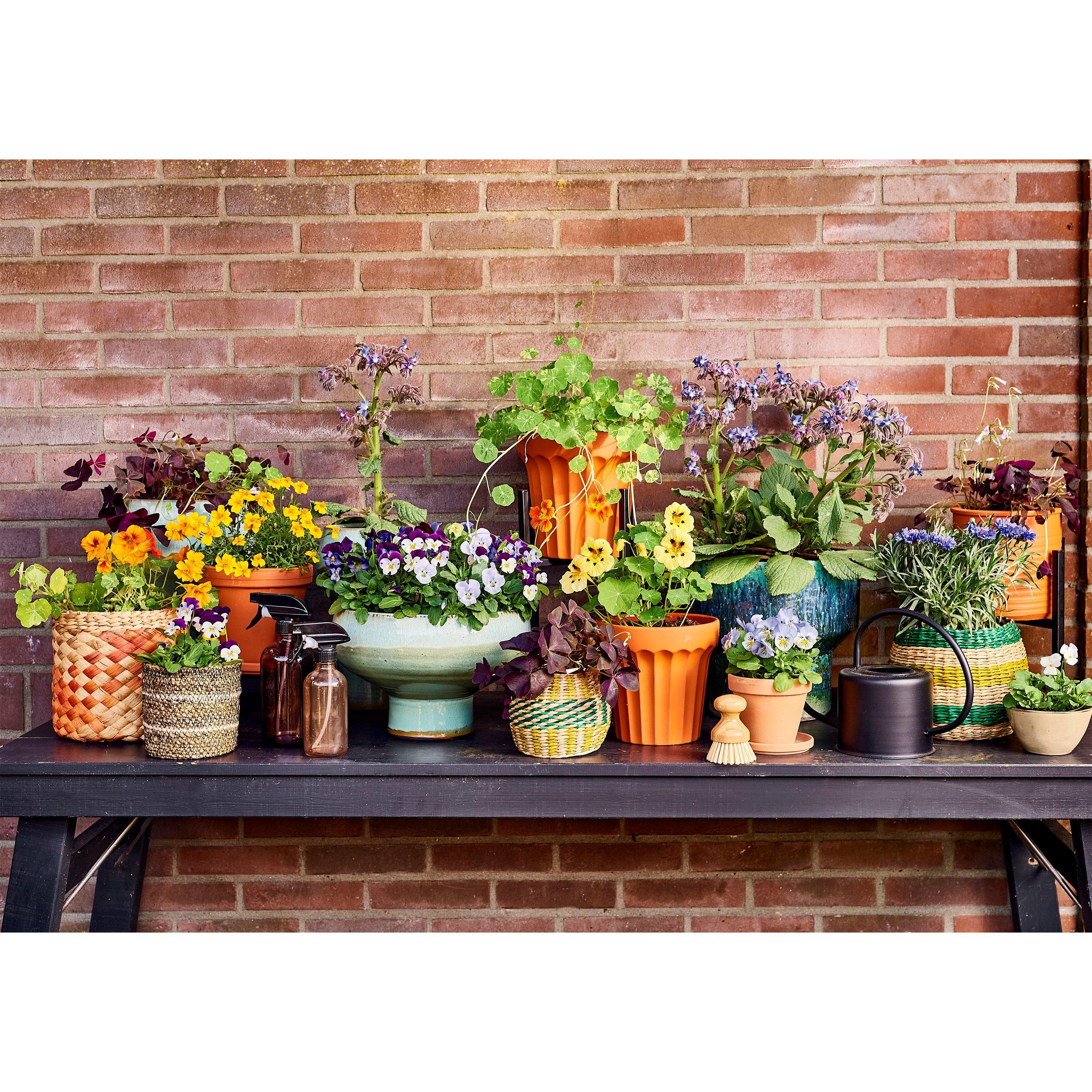 Black - Mica - Ancho watering-can - 3