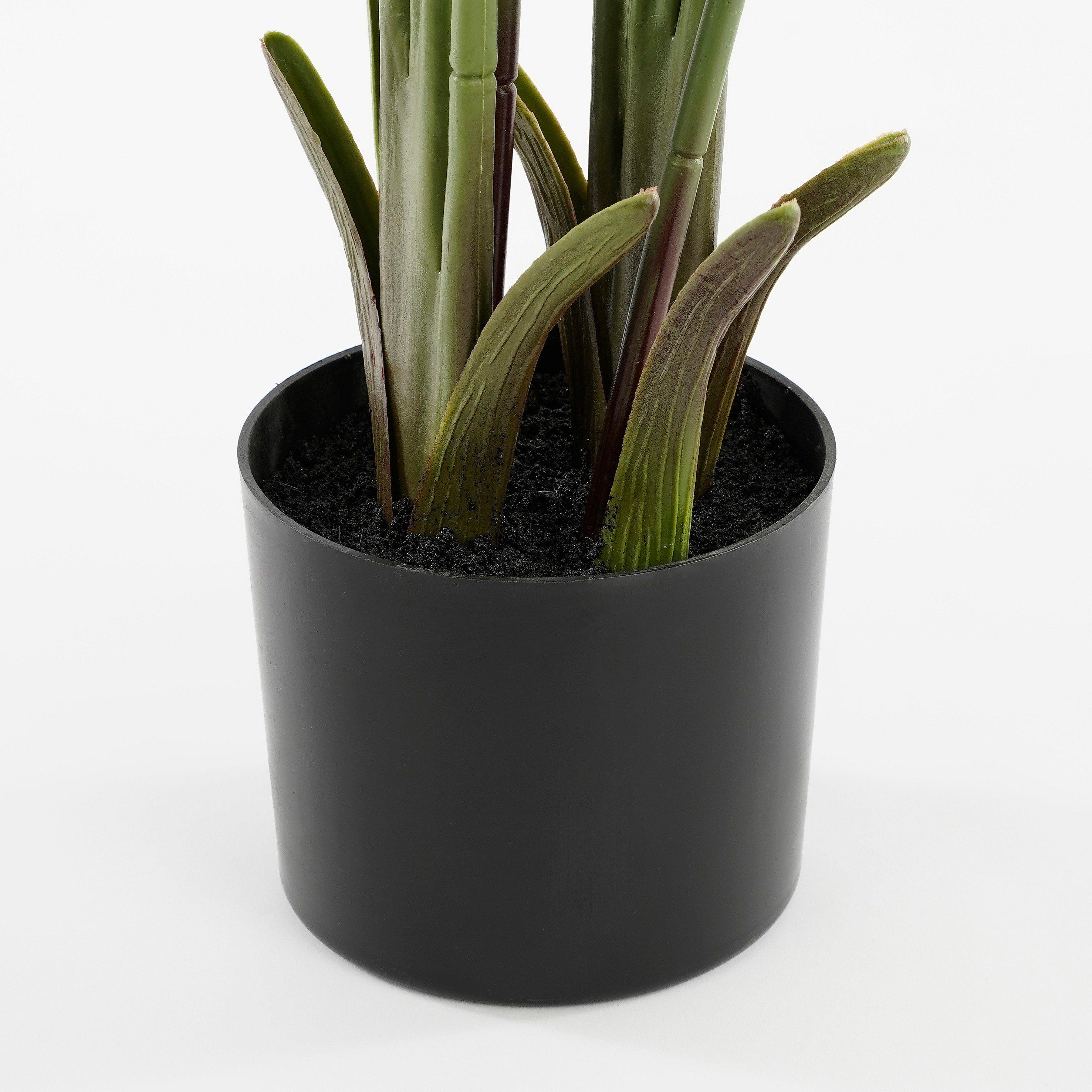 Green - Mica - Banana tree in pot green - 5