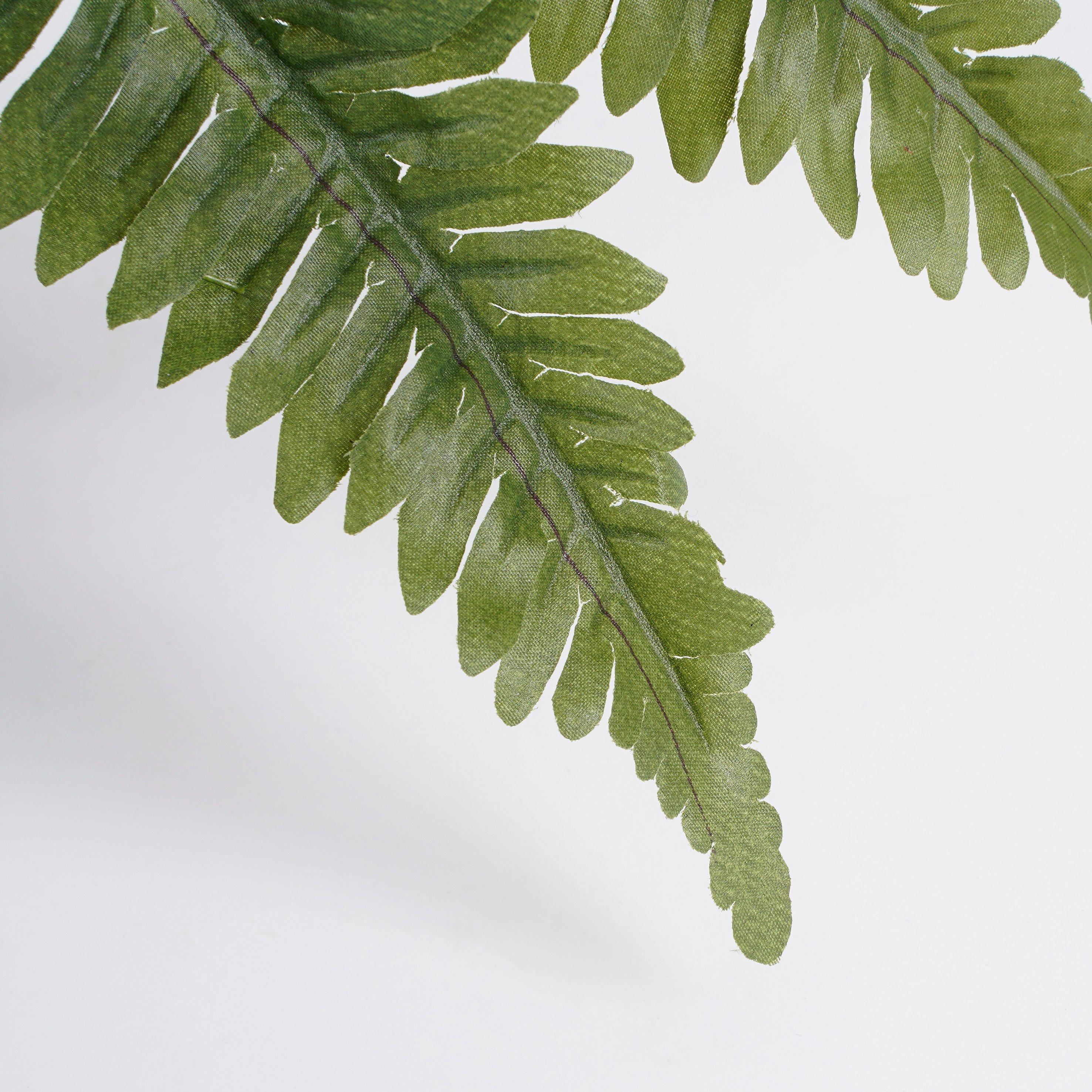 Green - Mica - Boston fern green in pot Stan grey - 2