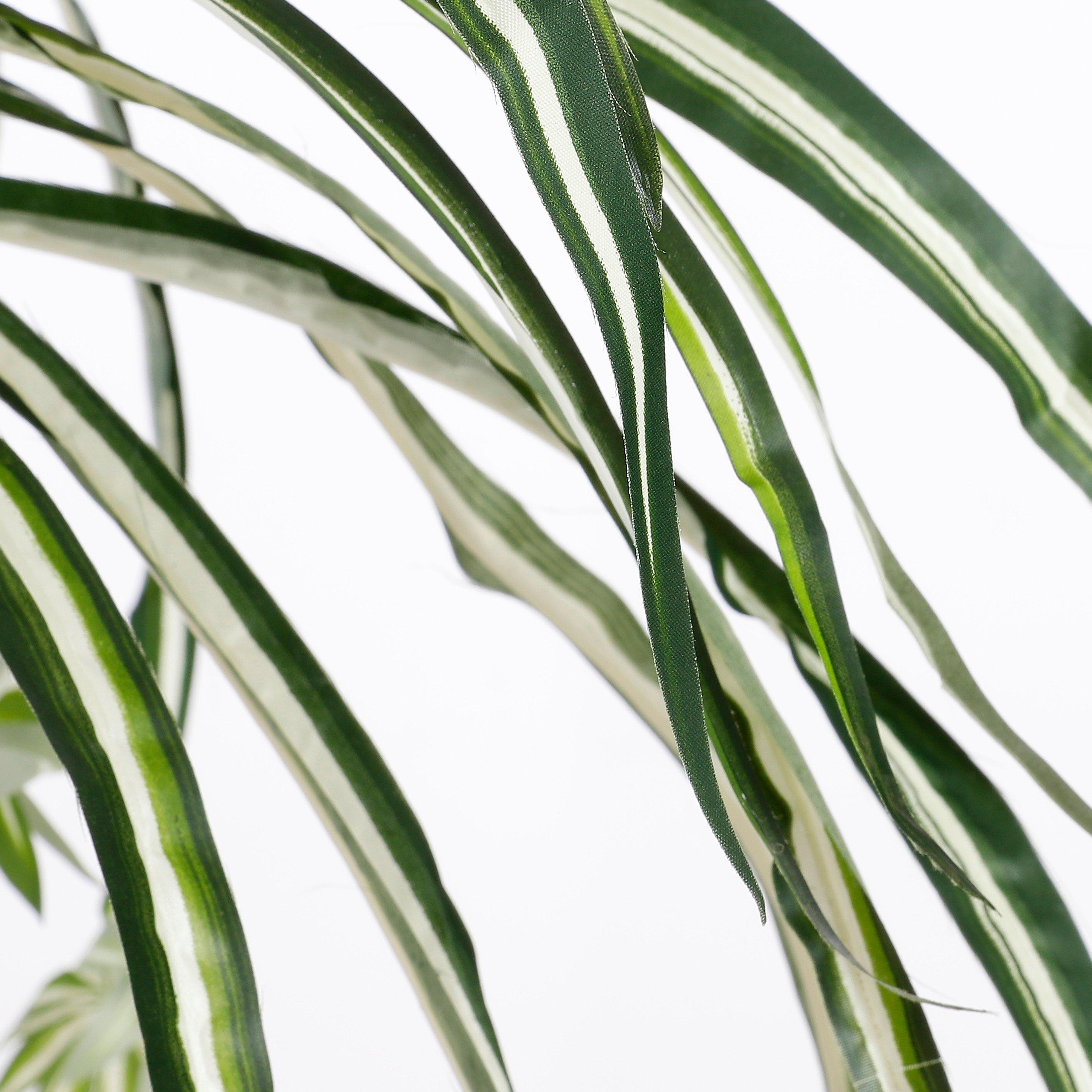 Verde - Mica - Chlorophytum green in pot Stan grey - 2