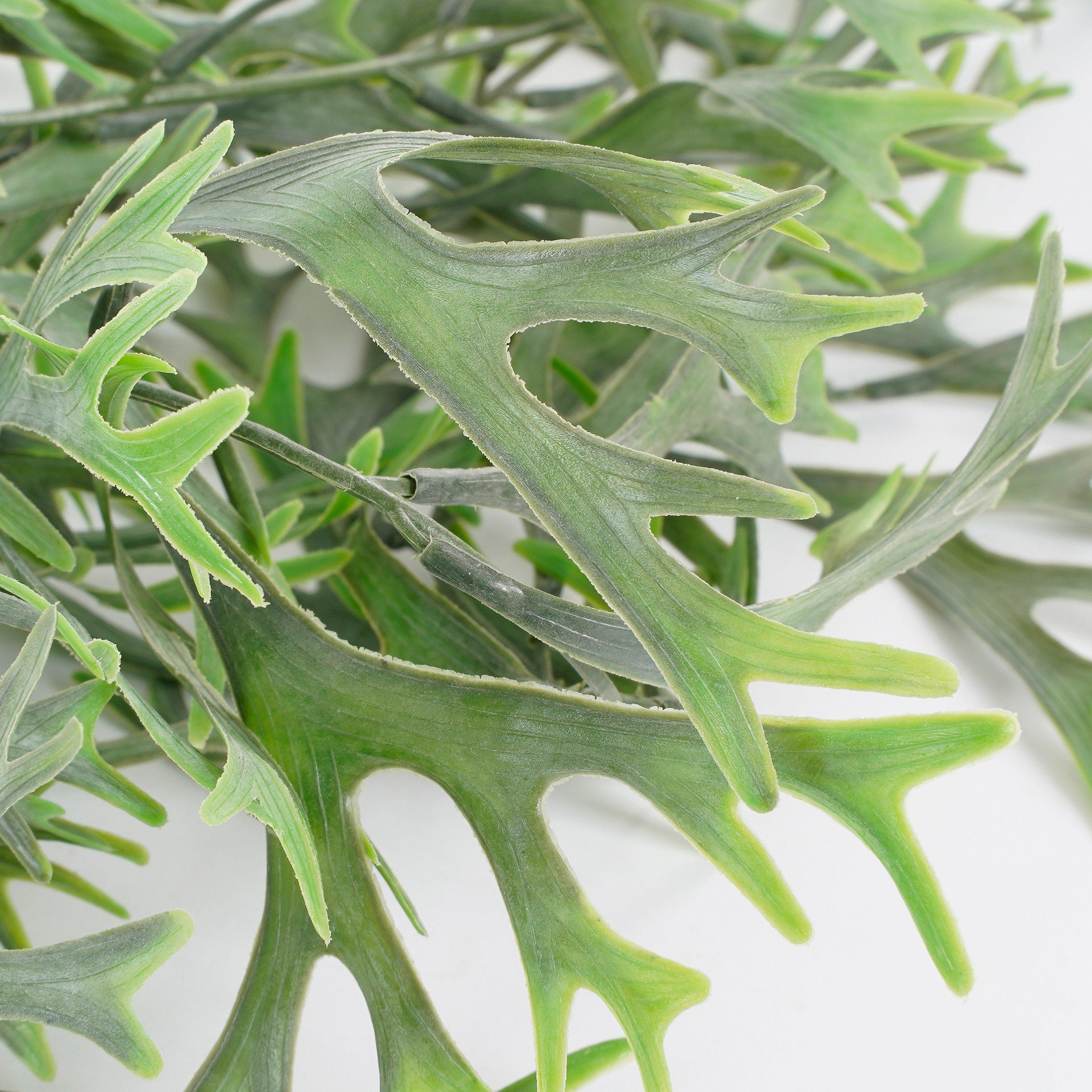 Green - Mica - Citronella hanging green - 3