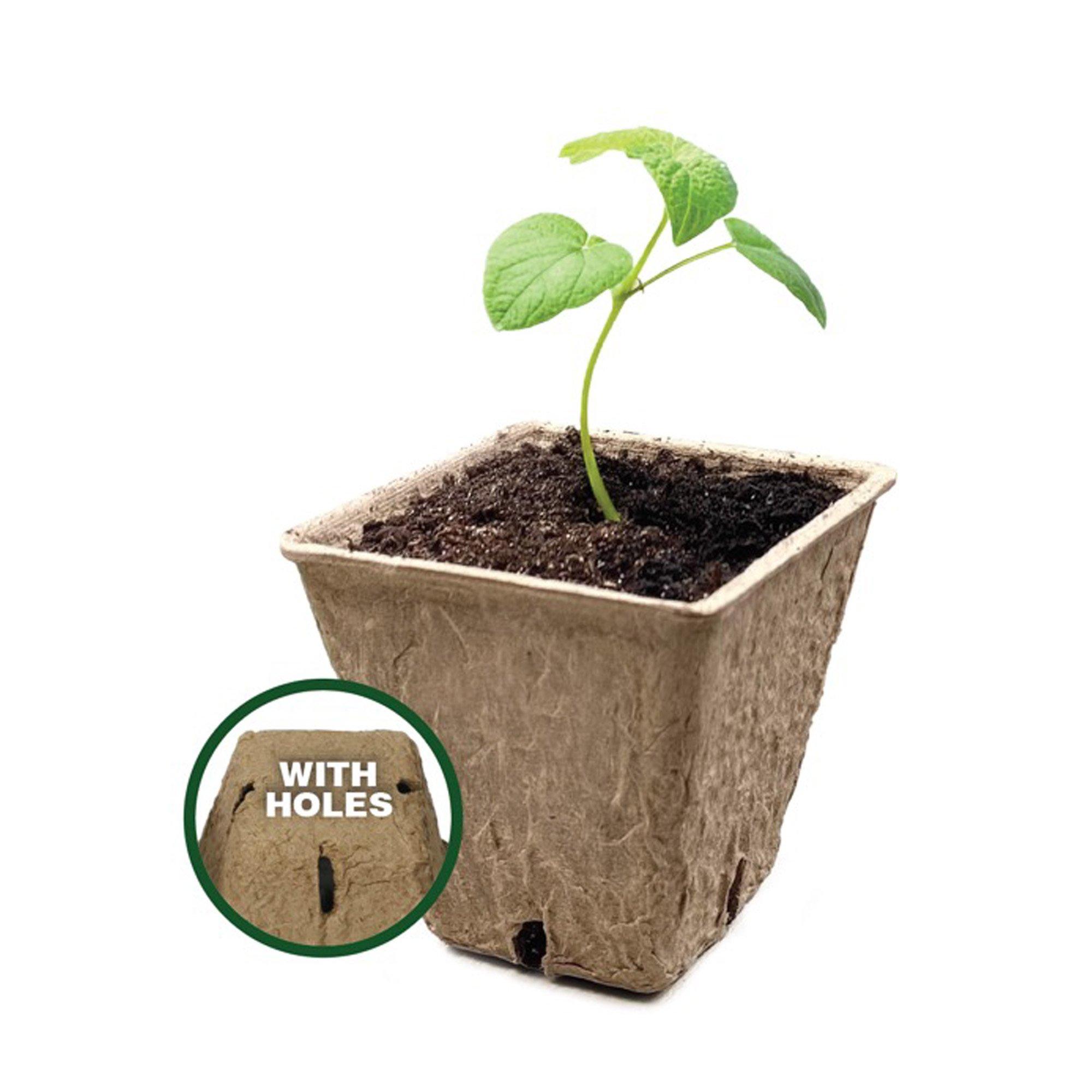 Castanho - Dekton - Dekton Square Paper Plant Pots - 7