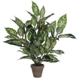 Mica Dieffenbachia green in pot Stan grey