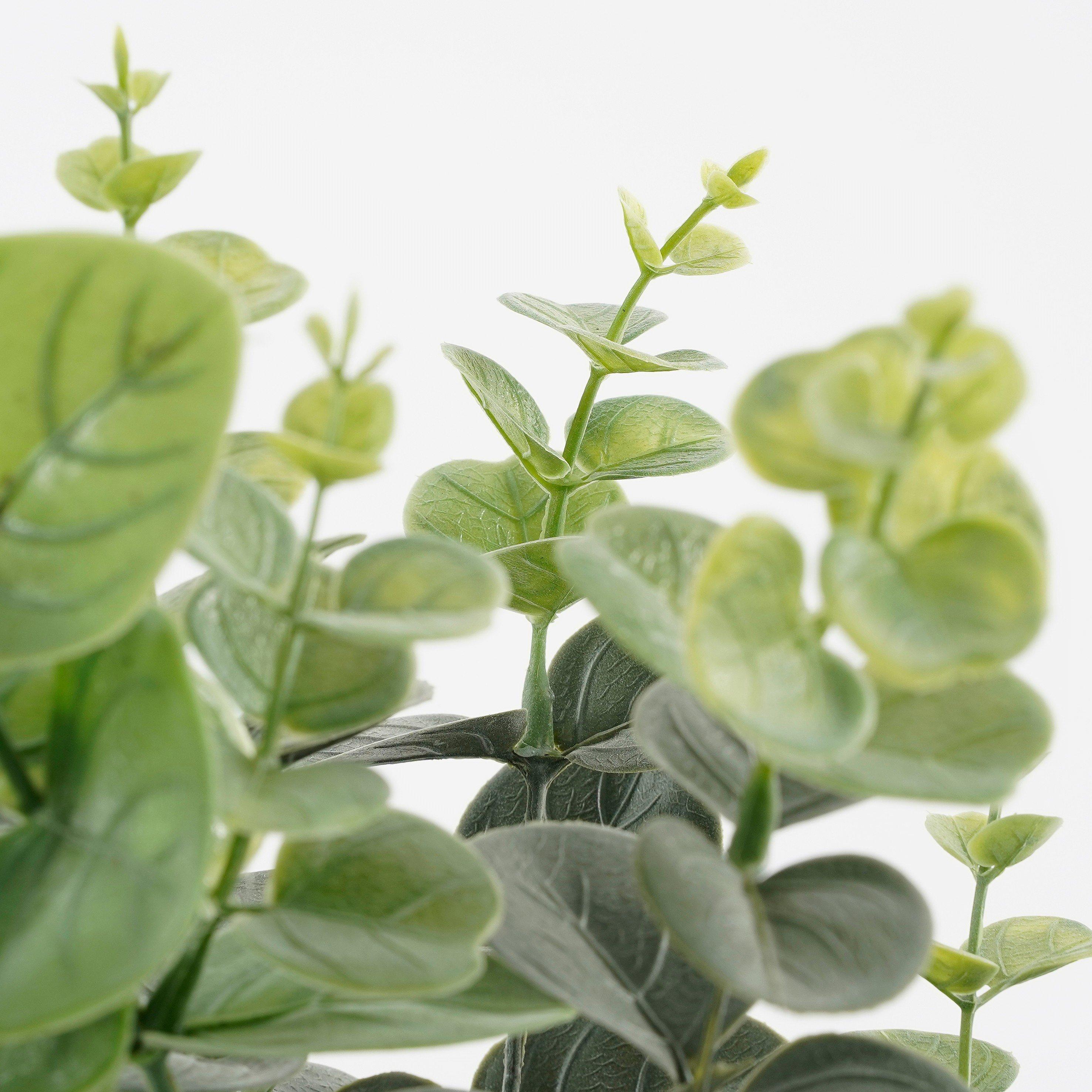 Green - Mica - Eucalyptus in pot green - 2