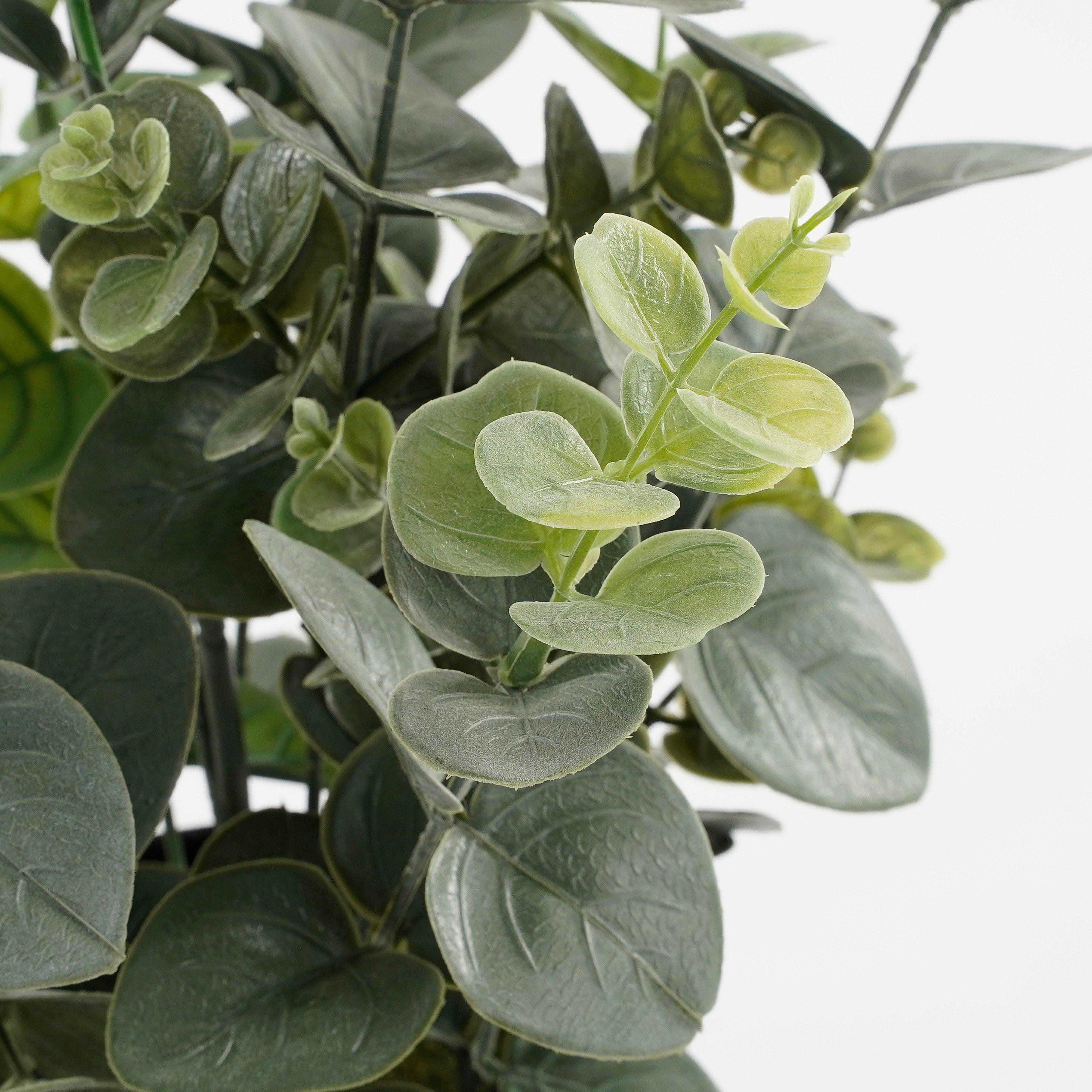 Green - Mica - Eucalyptus in pot green - 3
