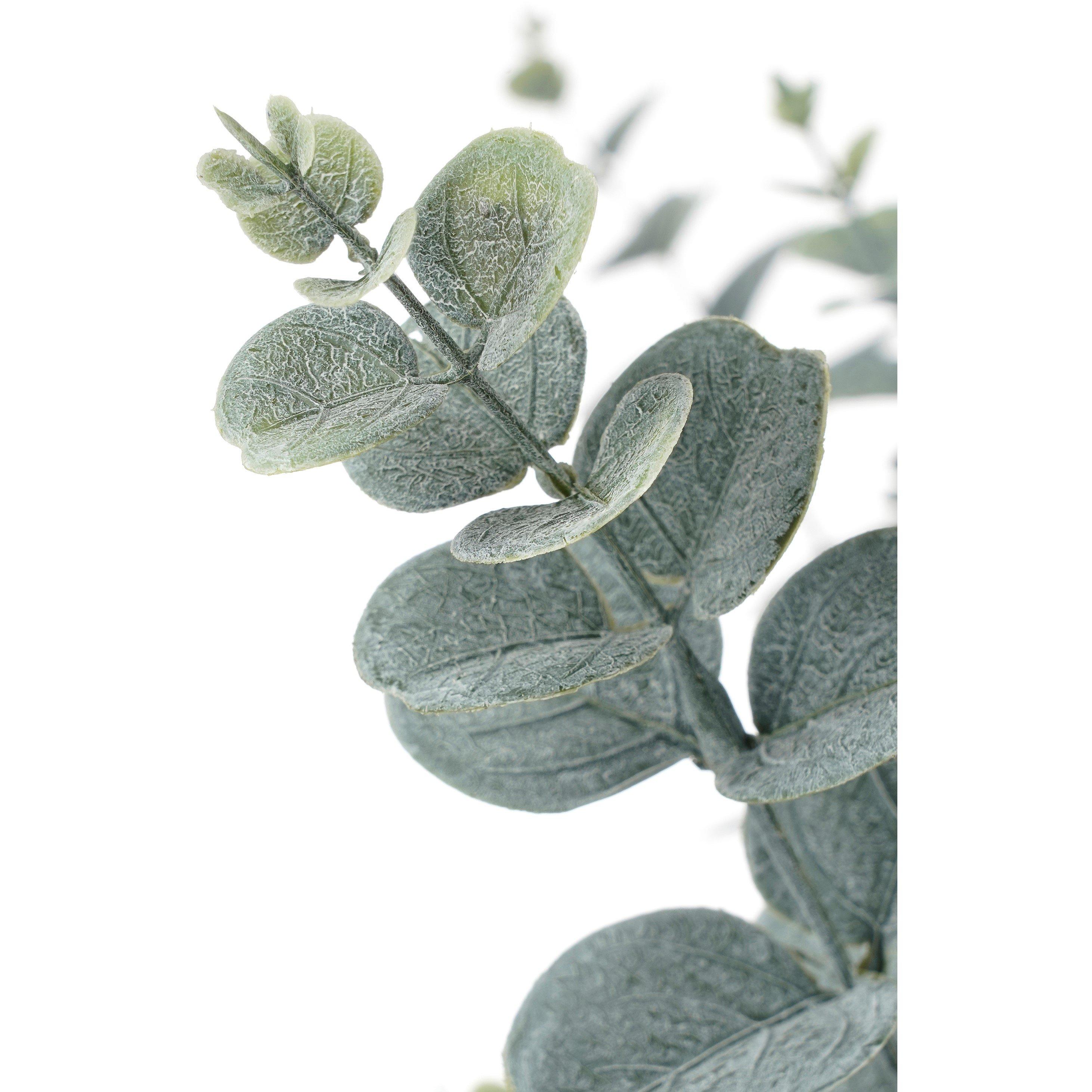 Green - Mica - Eucalyptus in pot green - 3