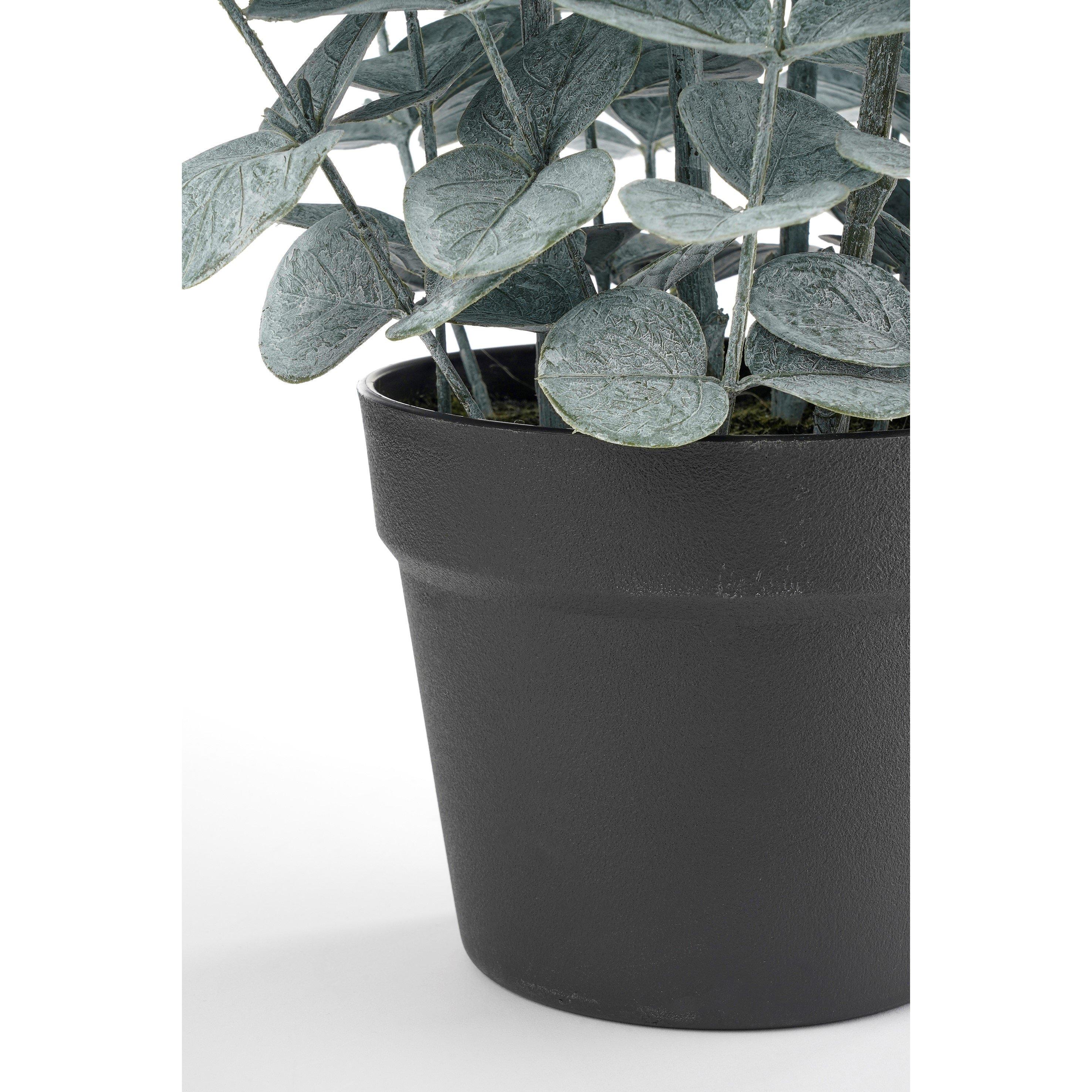Green - Mica - Eucalyptus in pot green - 5