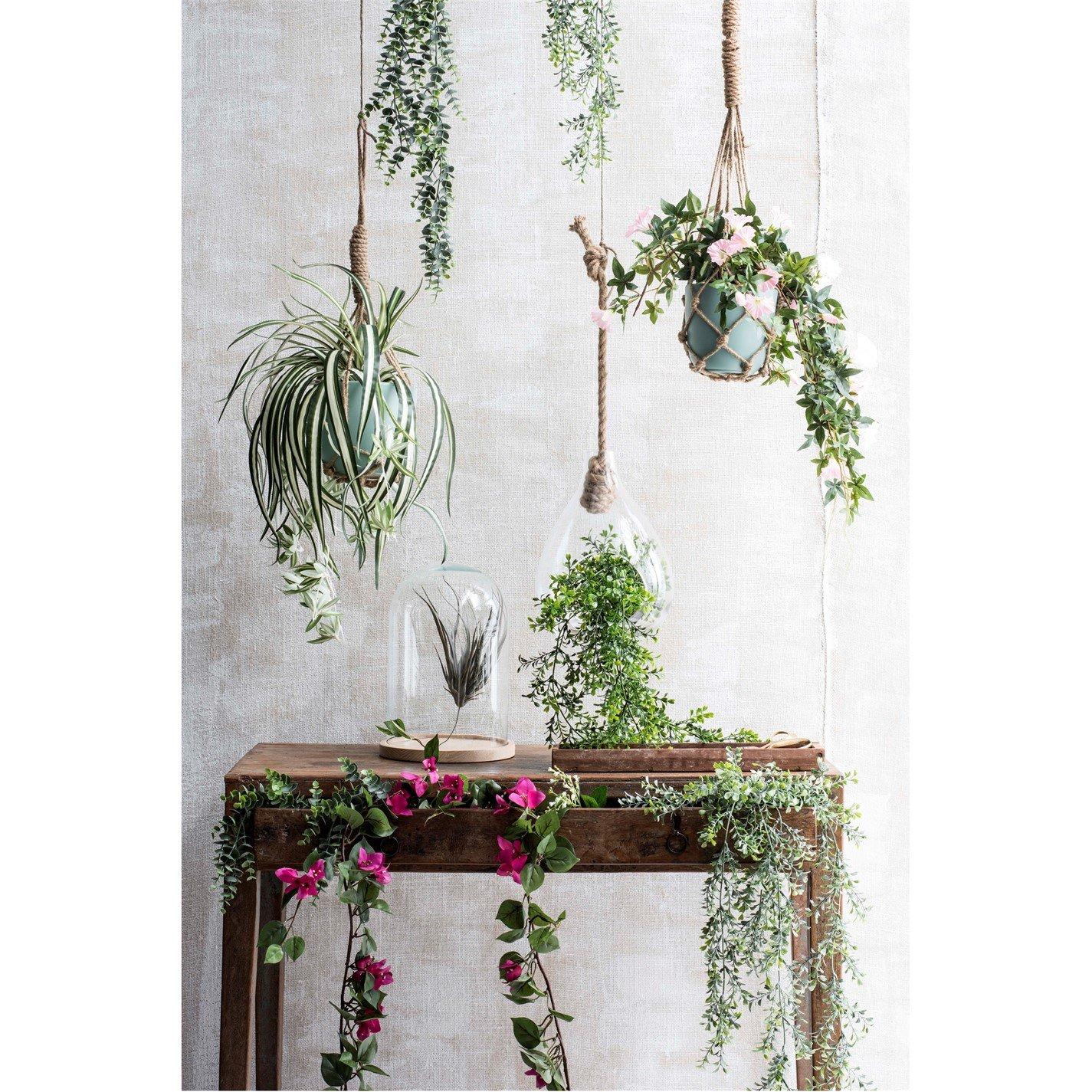 Green - Mica - Eucalyptus hanging green - 2