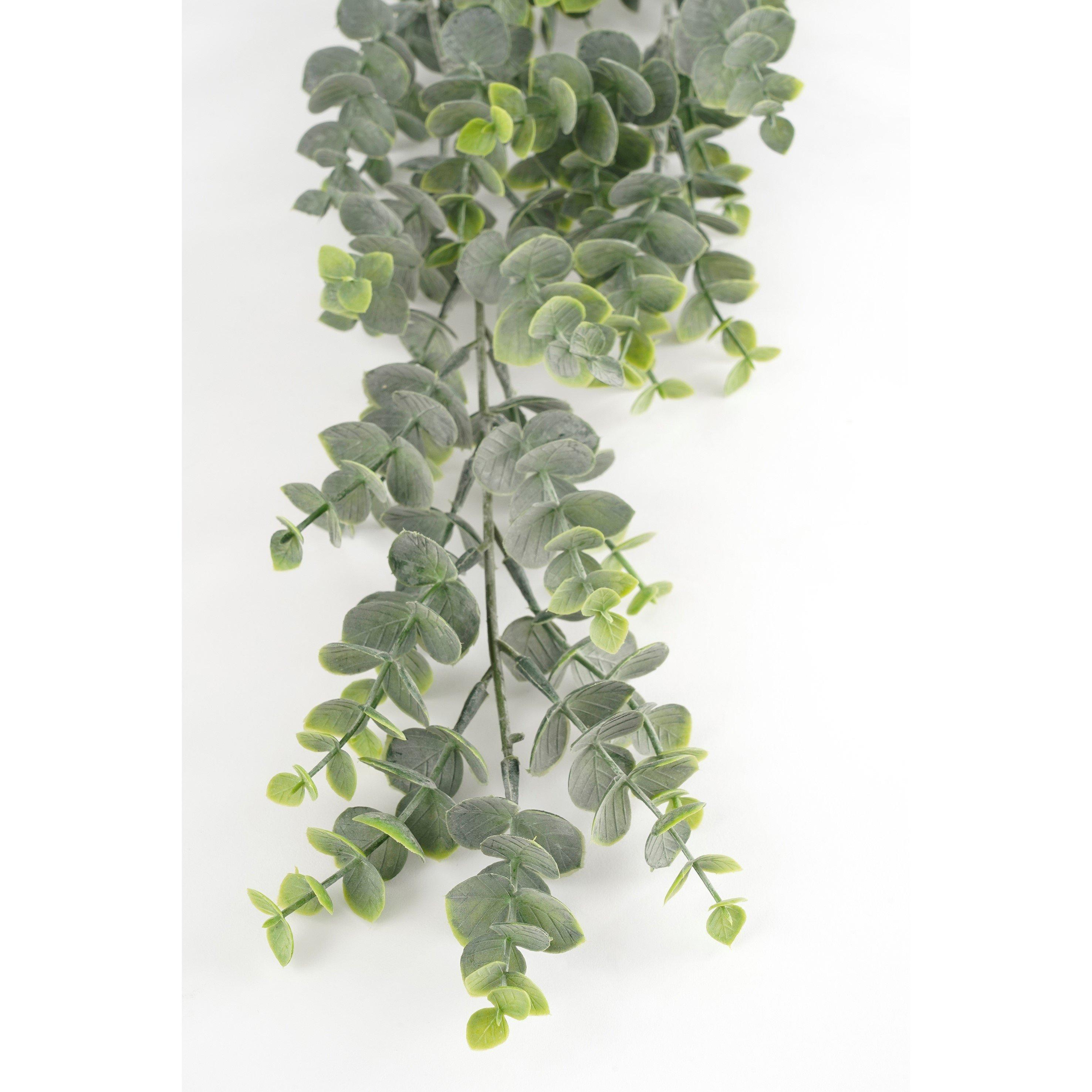 Green - Mica - Eucalyptus hanging green - 3