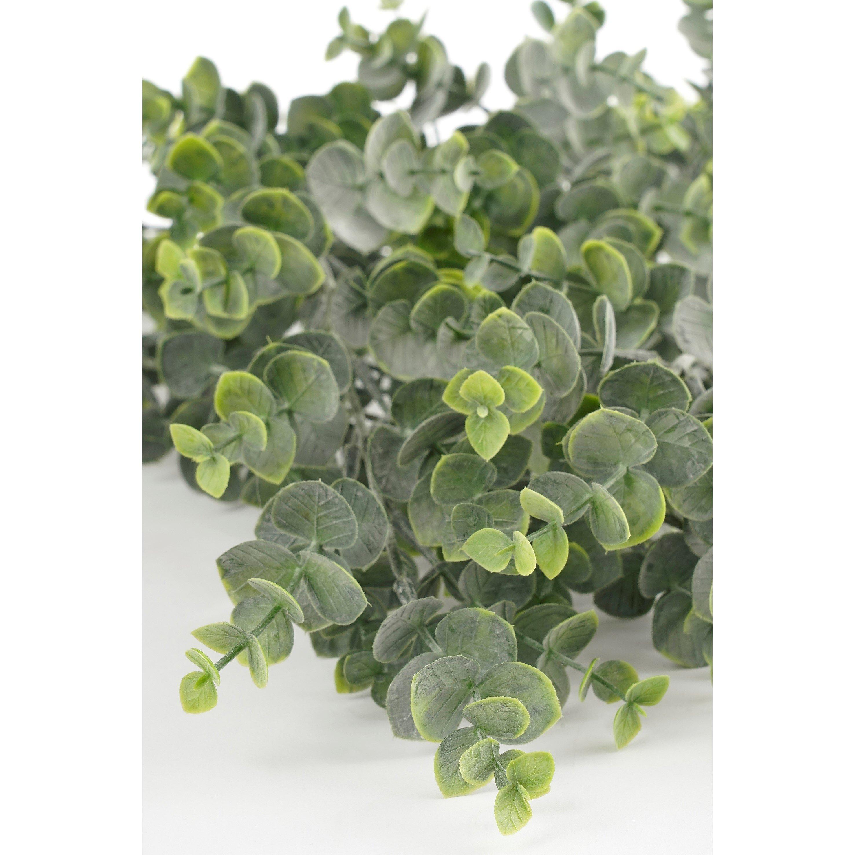 Green - Mica - Eucalyptus hanging green - 4