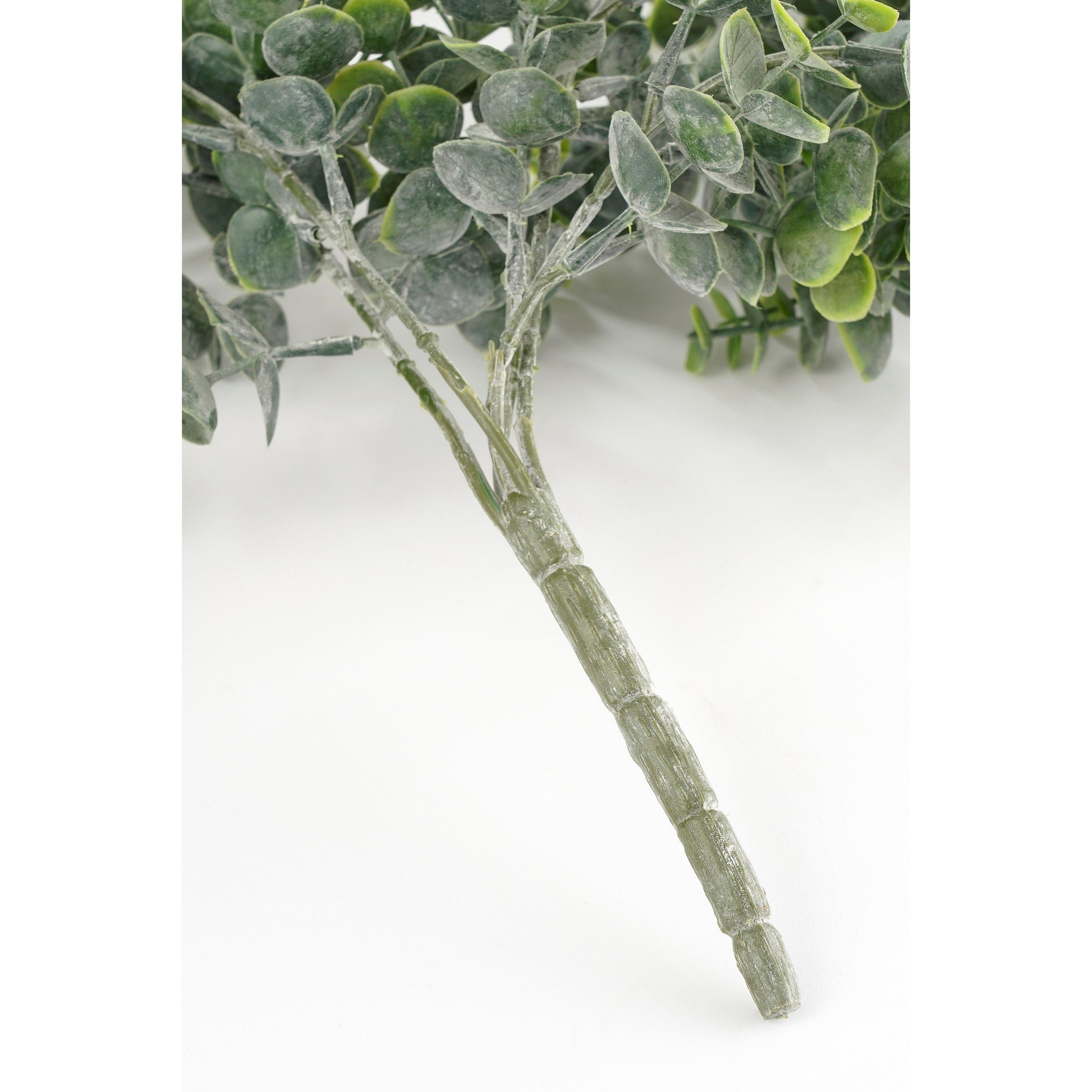 Green - Mica - Eucalyptus hanging green - 5