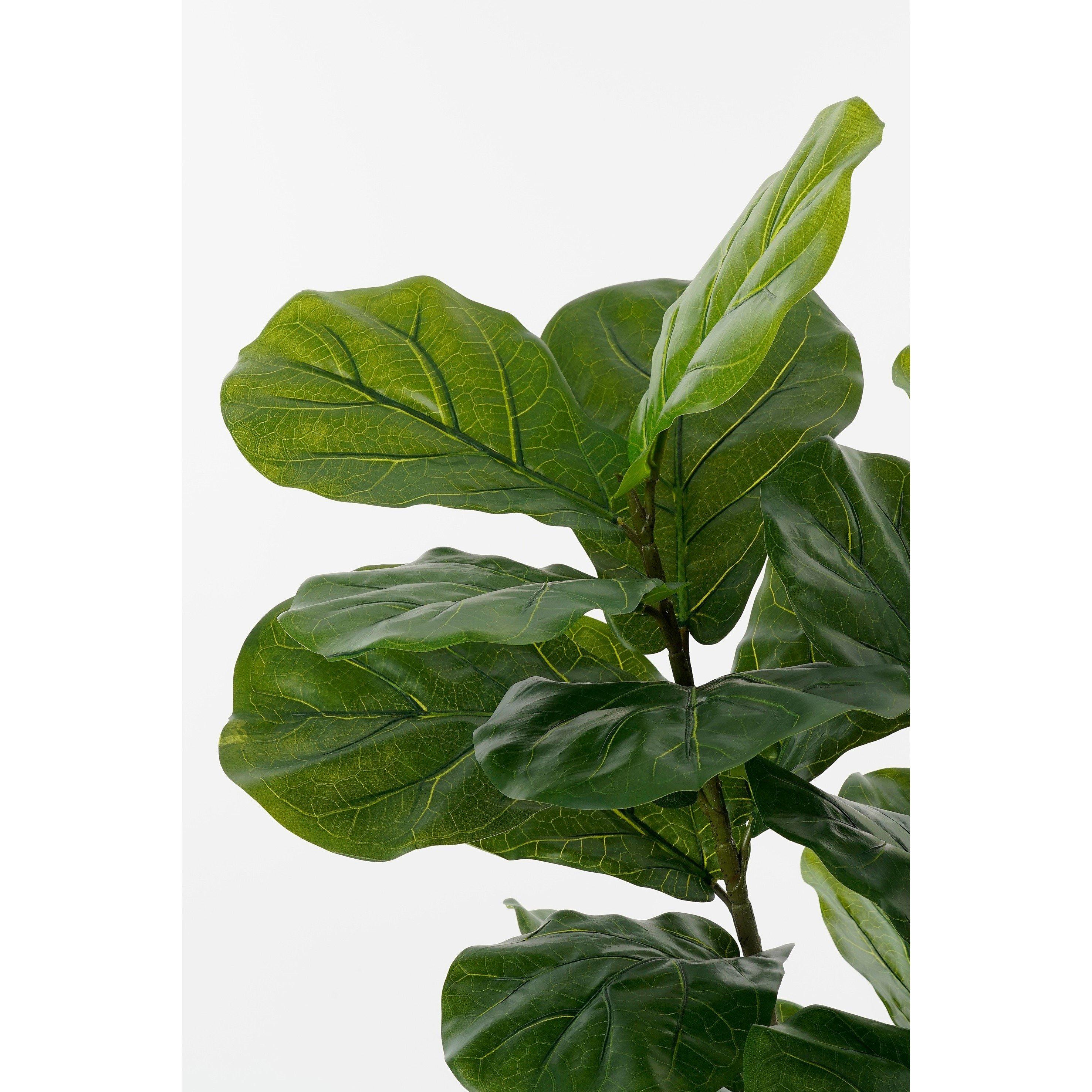 Green - Mica - Ficus Lyrata in pot green waterproof & UV resistant - 2